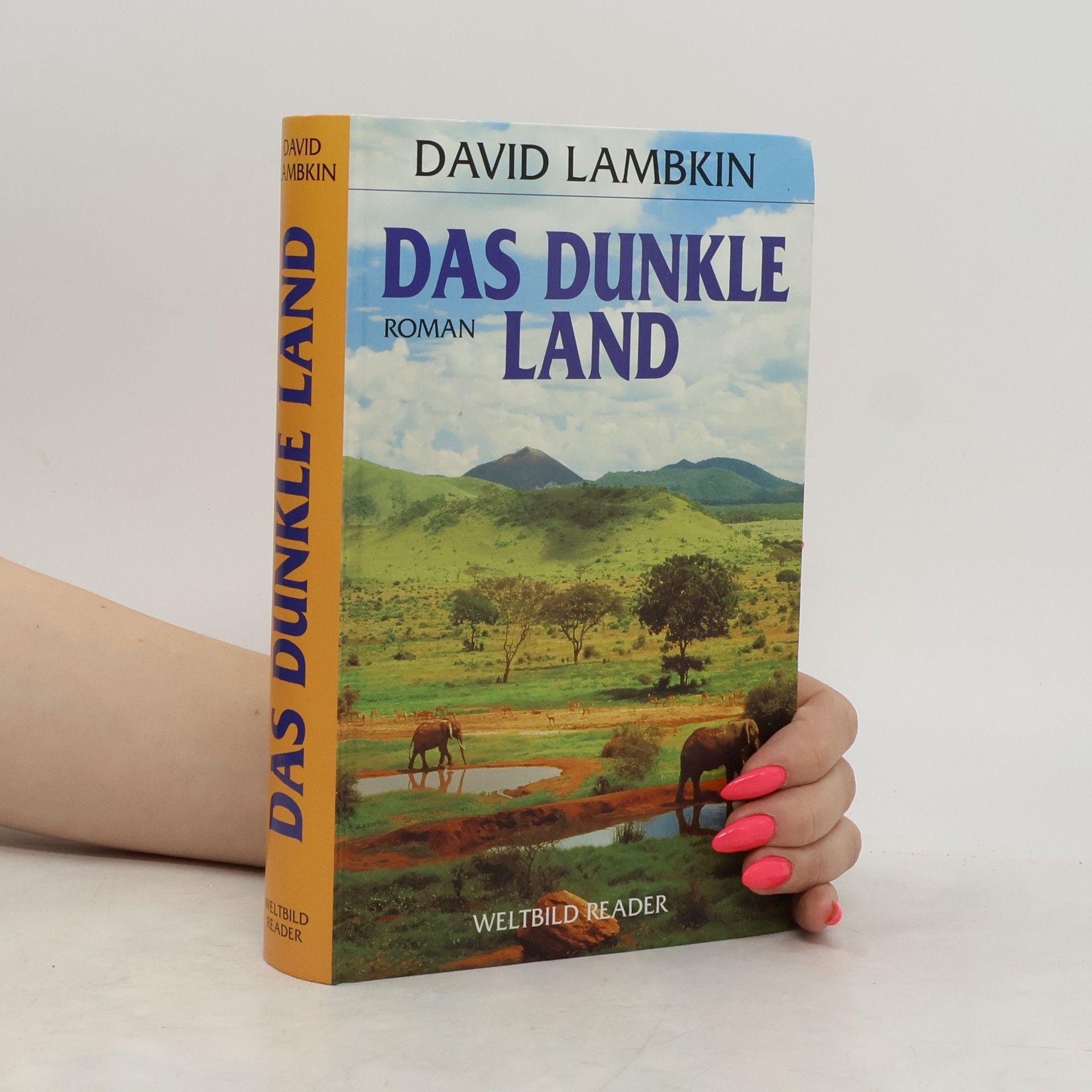 David Lambkin Das dunkle Land
