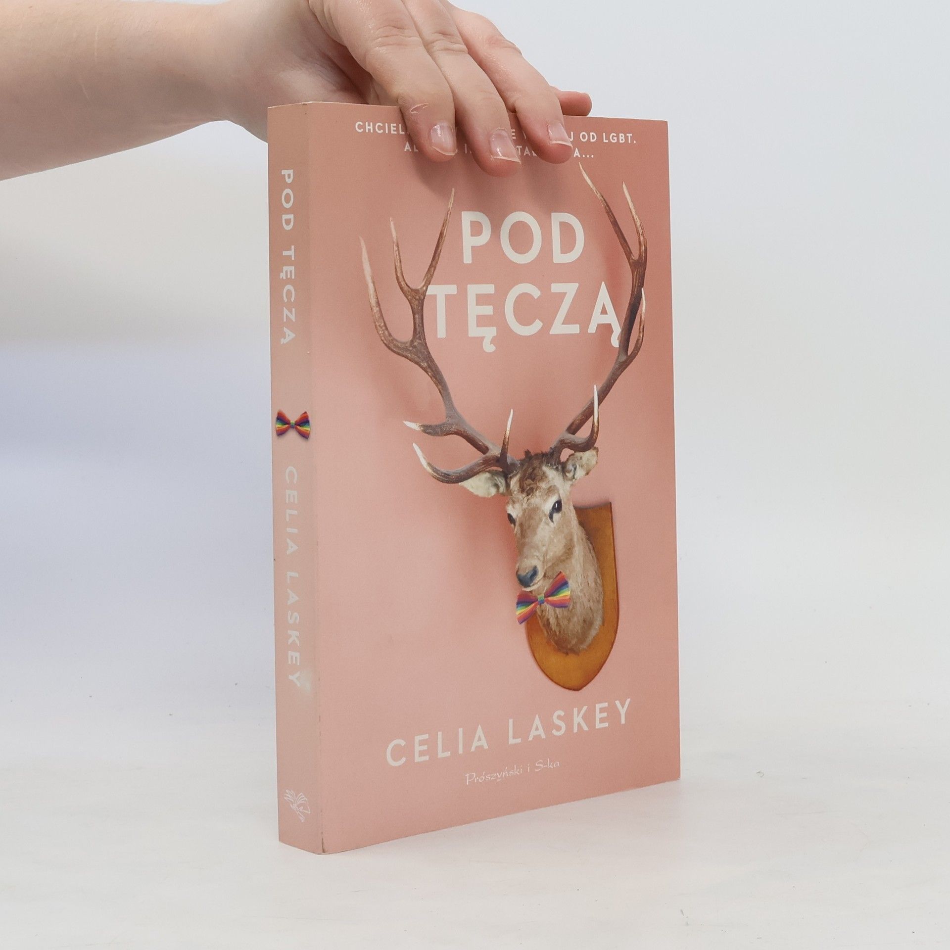 Celia Laskey Pod tęczą