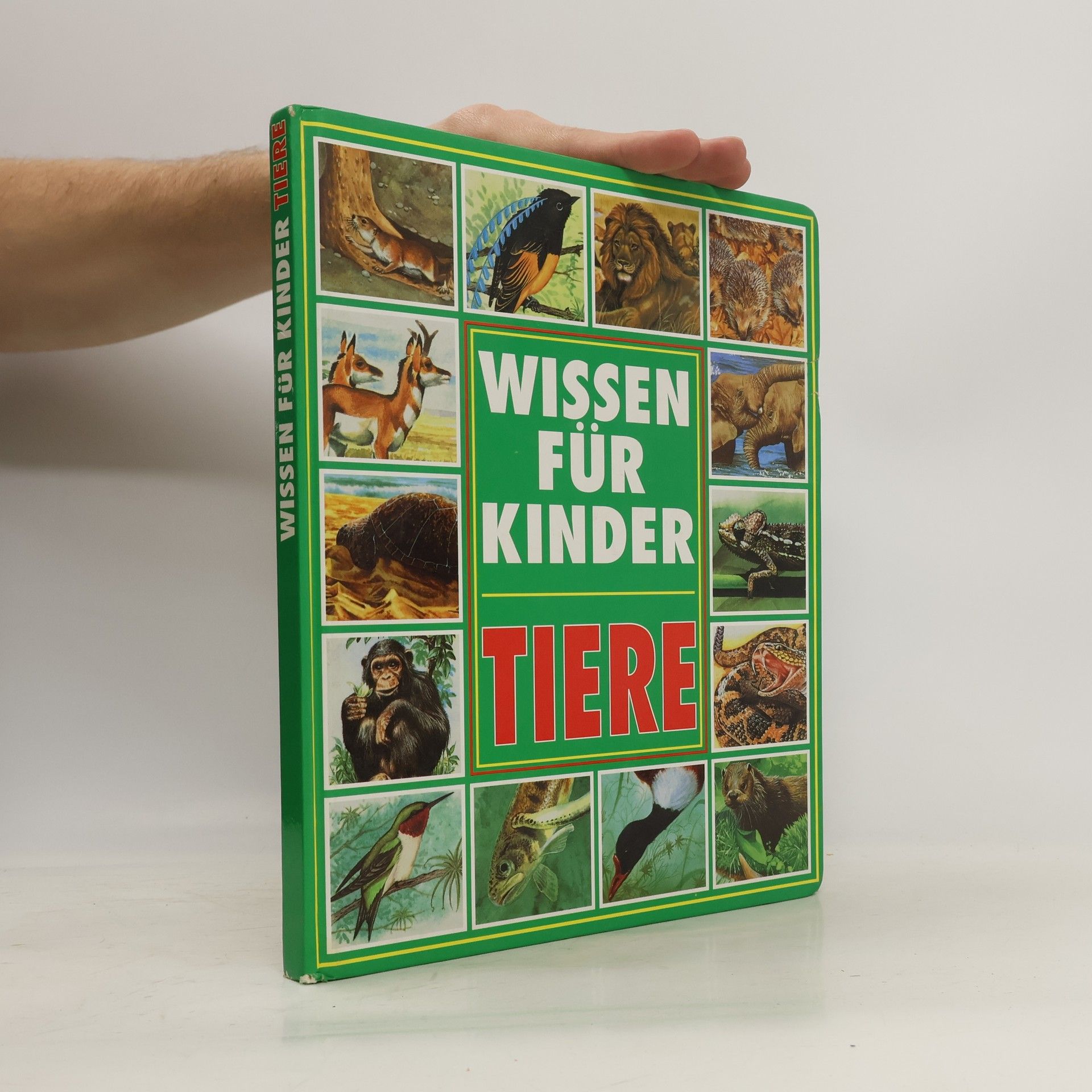 Michele Stable Tiere. Wissen für Kinder
