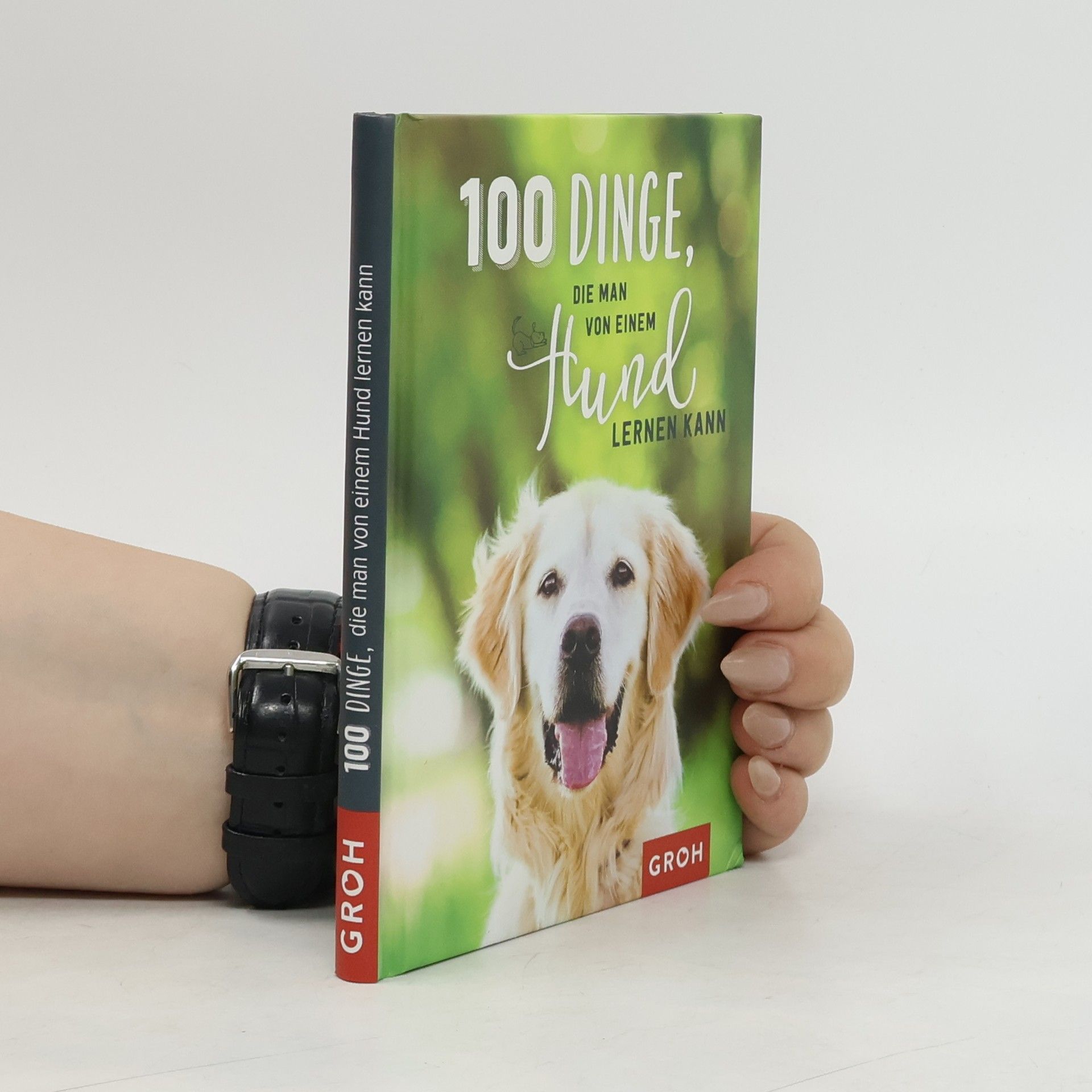 Collective 100 Dinge, die man von einem Hund lernen kann