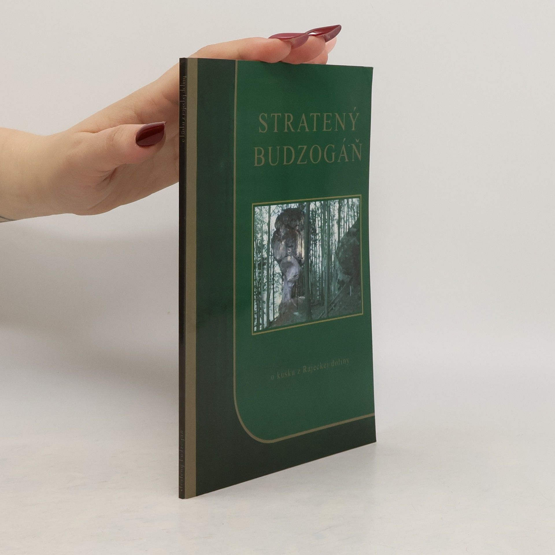 Katarína Kráľová Stratený Budzogáň