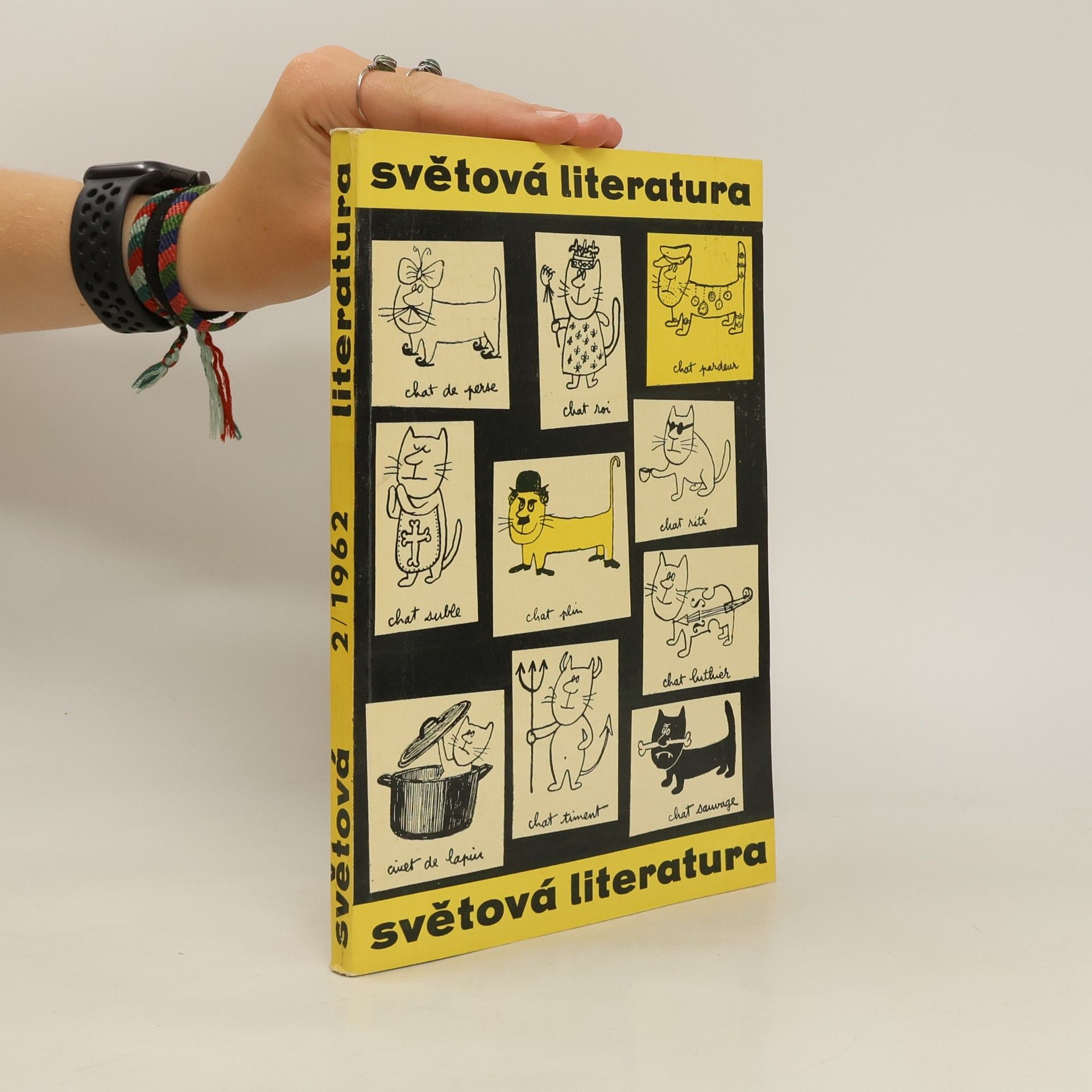 Kolektív autorov Světová literatura 2