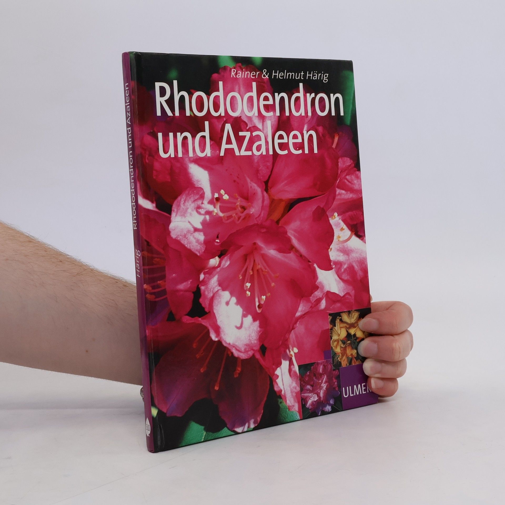 Rainer Härig Schöne Rhododendron und Azaleen