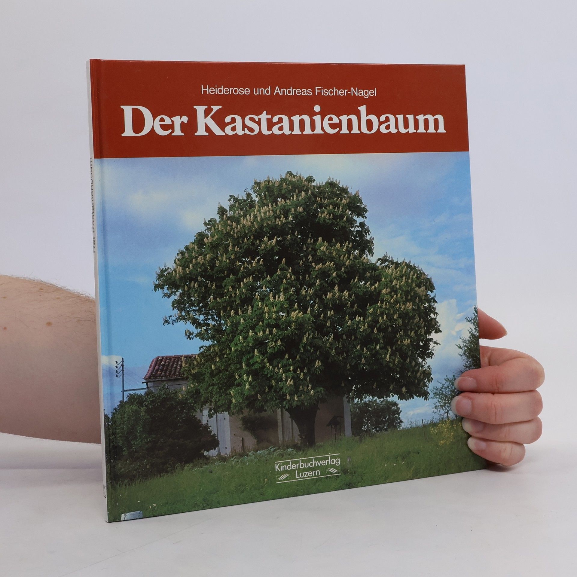 Heiderose Fischer-Nagel Der Kastanienbaum