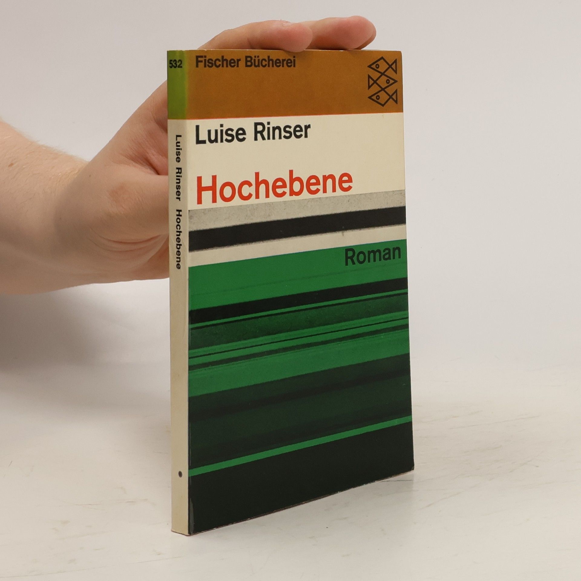 Luise Rinser Hochebene