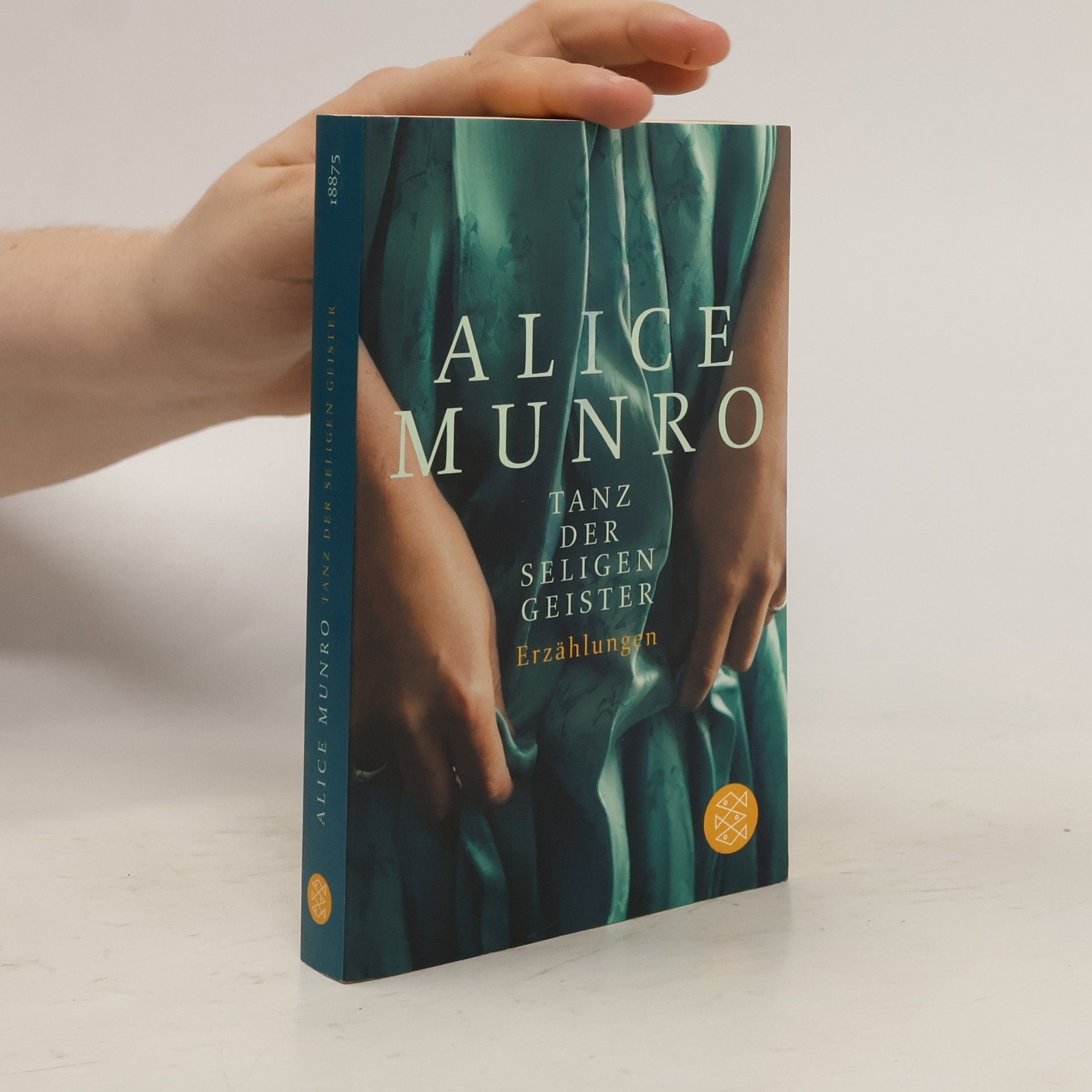 Alice Munro Tanz der seligen Geister