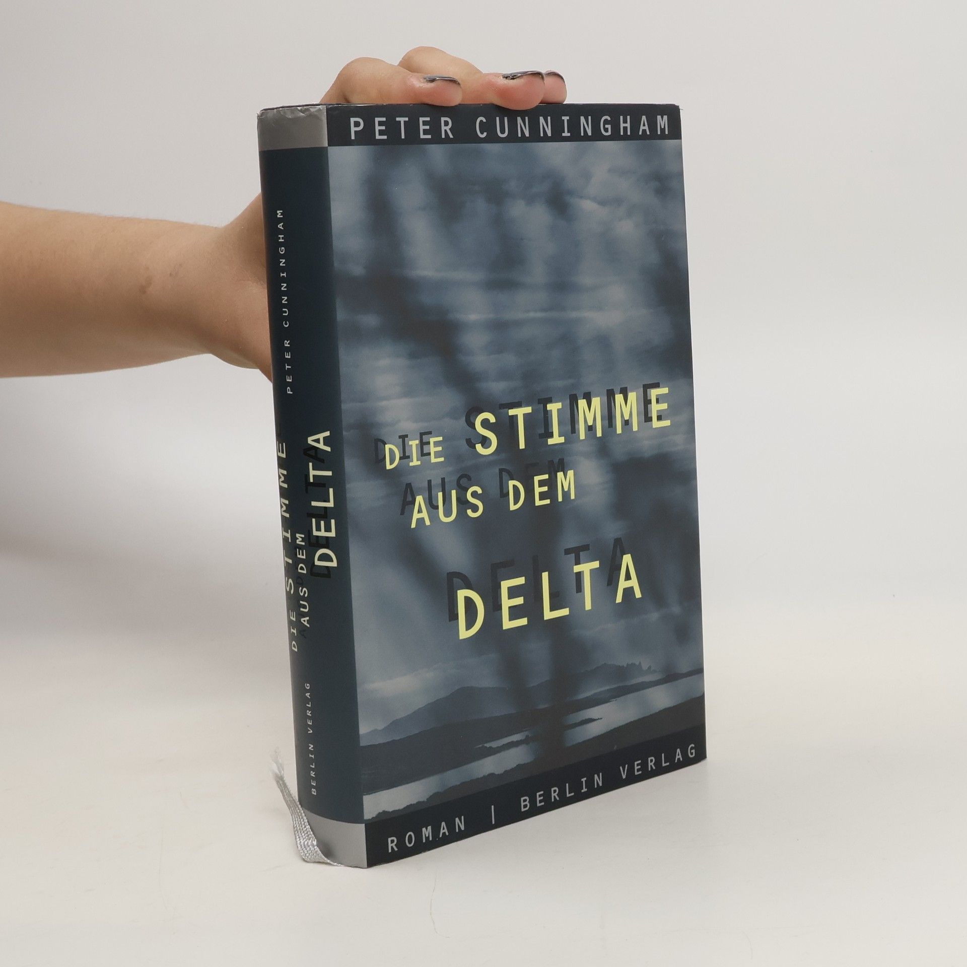 Peter Cunningham Die Stimme aus dem Delta