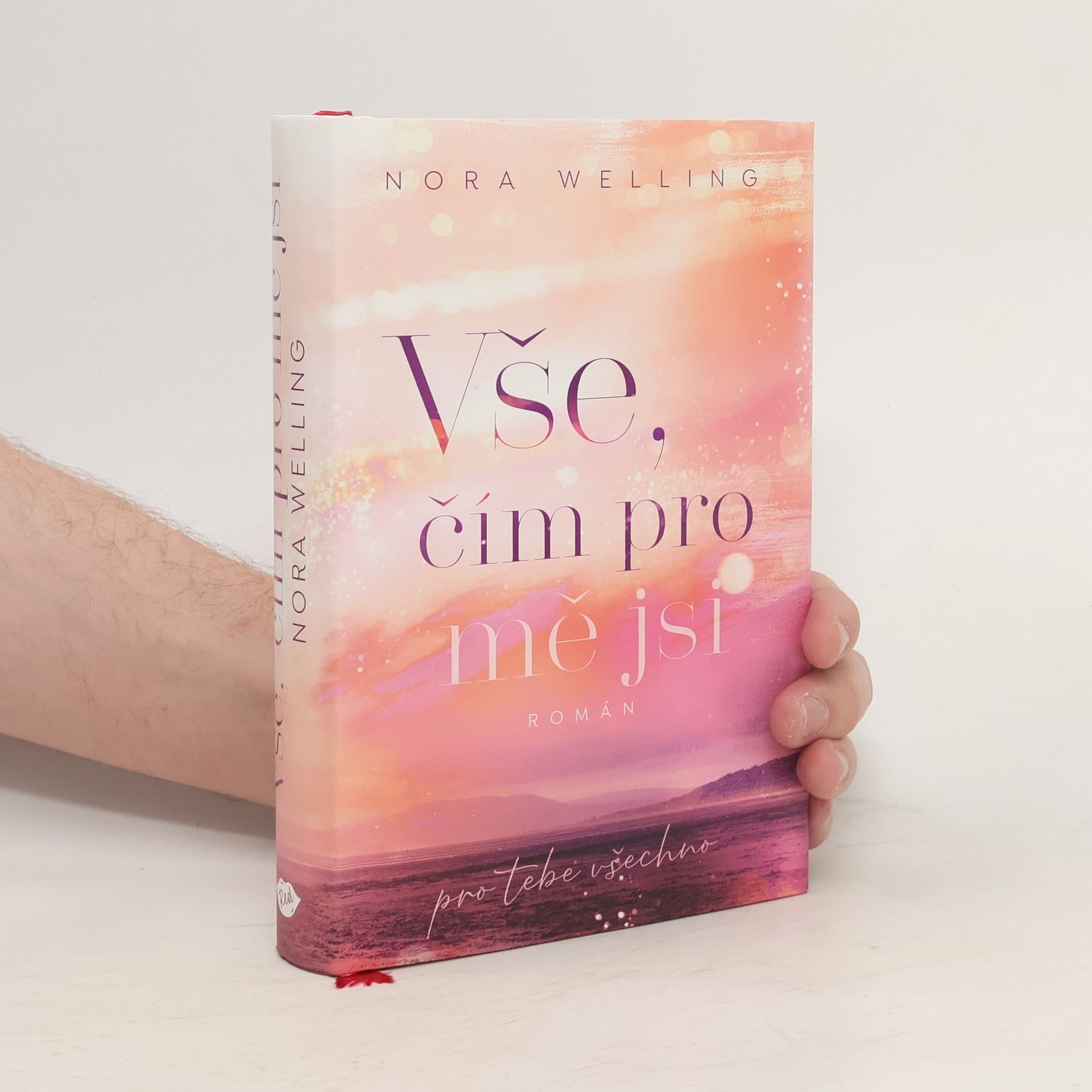 Nora Welling Vše, čím pro mě jsi