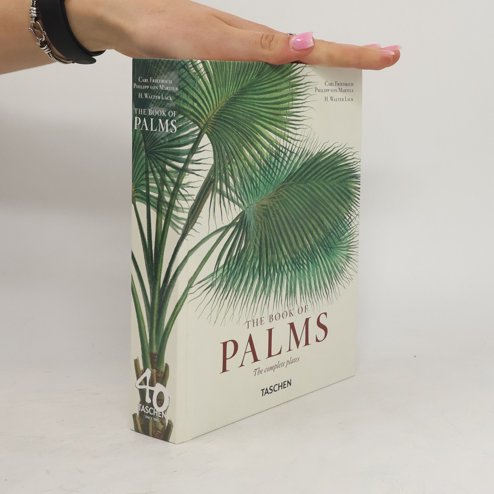 Hans Walter Lack Martius. The Book of Palms