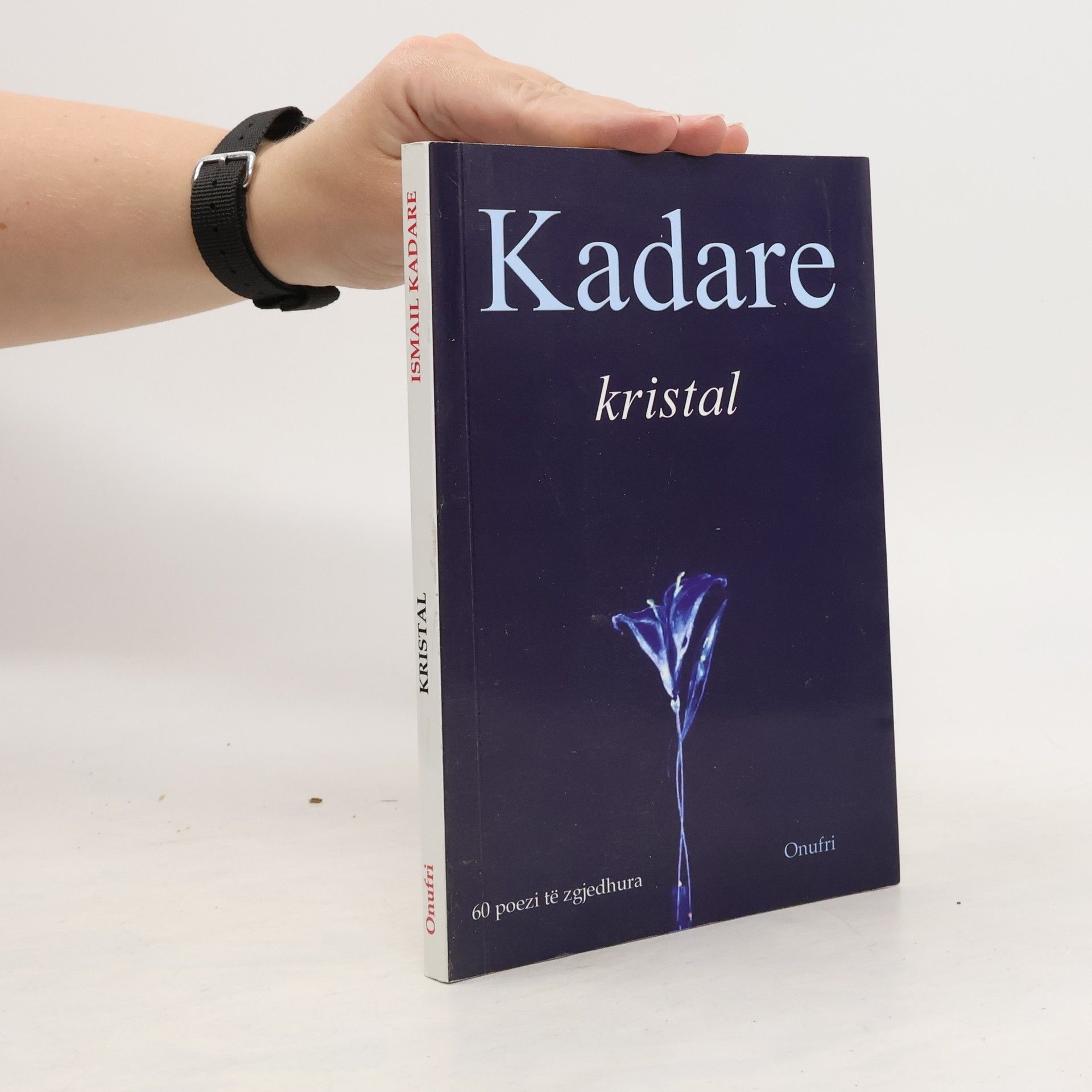 Ismail Kadare Kristal