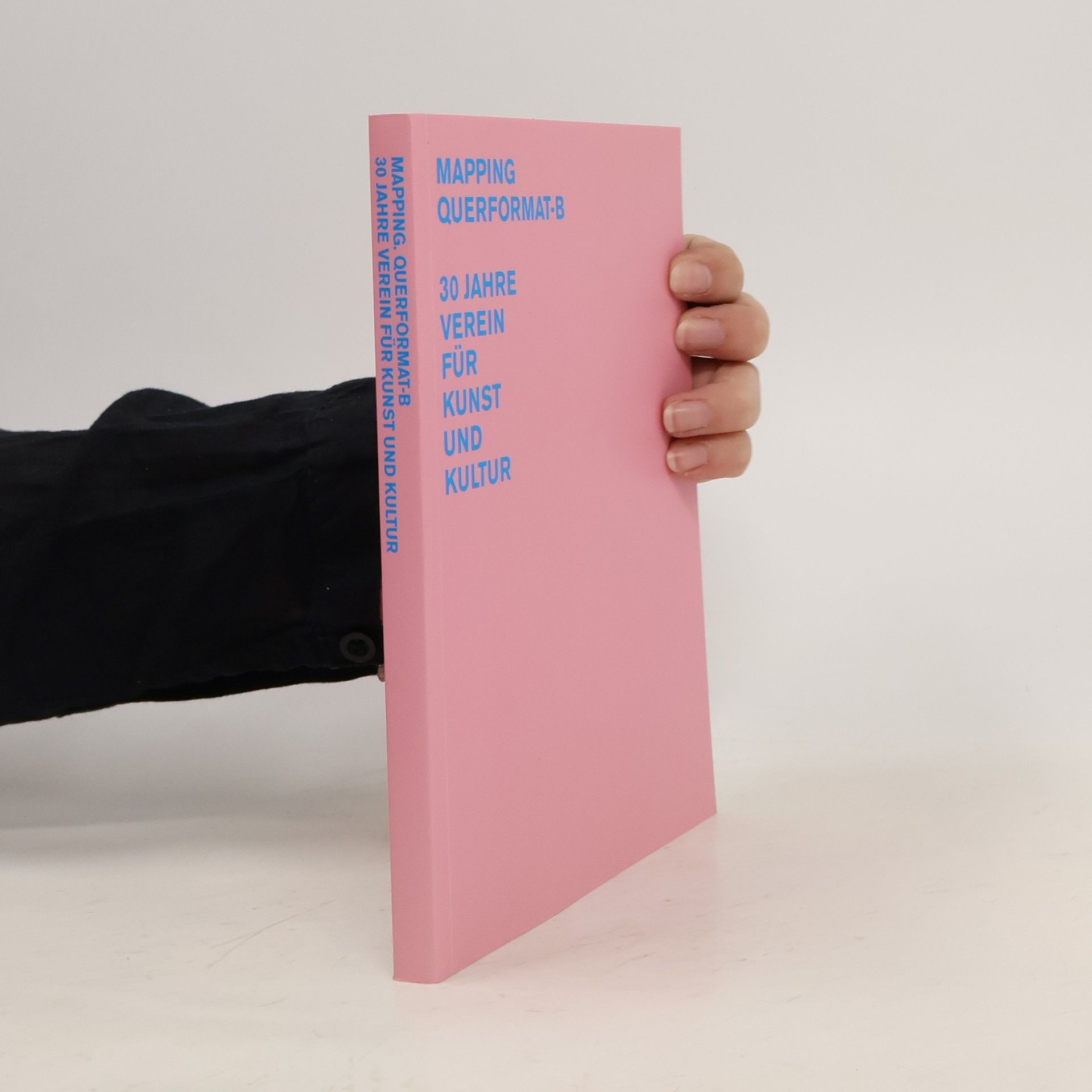 Anne-Maike Denzig Mapping Querformat-B