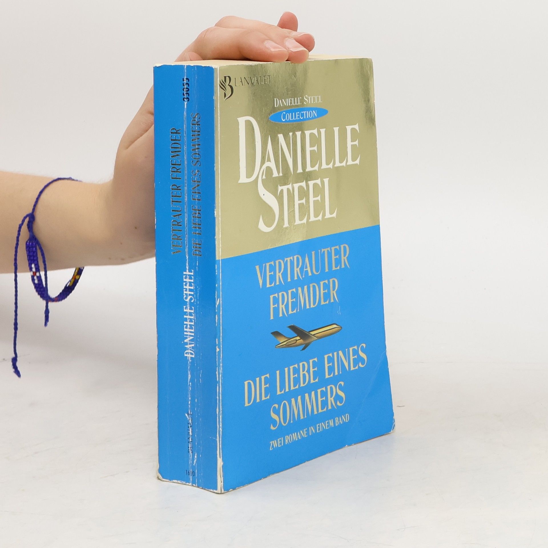 Danielle Steel Vertrauter Fremder. Die Liebe eines Sommers