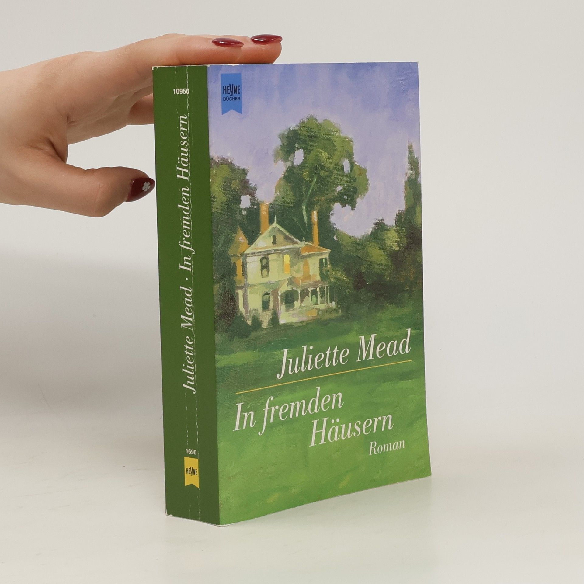 Juliette Mead In fremden Häusern