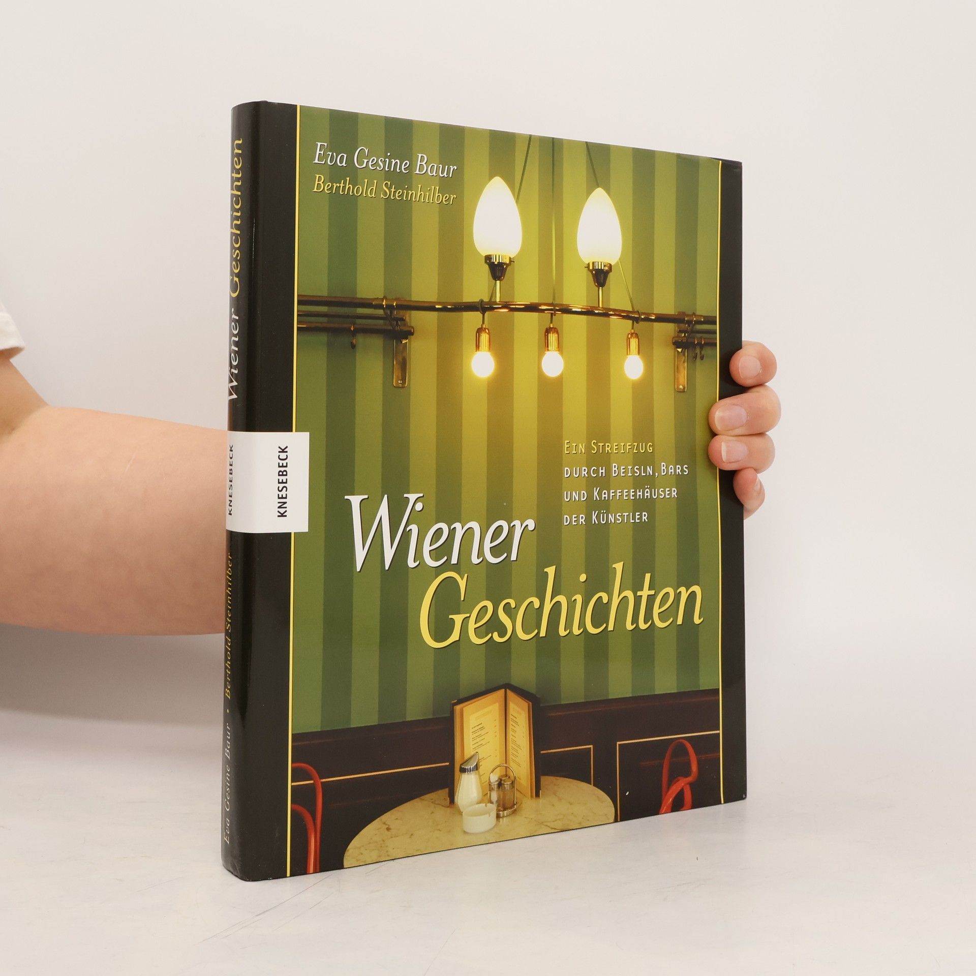 Eva G Baur Wiener Geschichten - ein Streifzug durch Beisln, Bars und Kaffeehäuser der Künstler. Ein Streifzug durch Beisln, Bars und Kaffeehäuser der Künstler