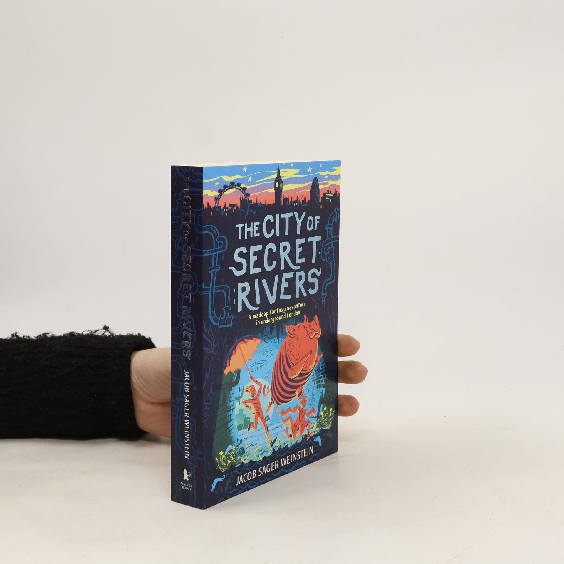 Jacob Sager Weinstein The City of Secret Rivers