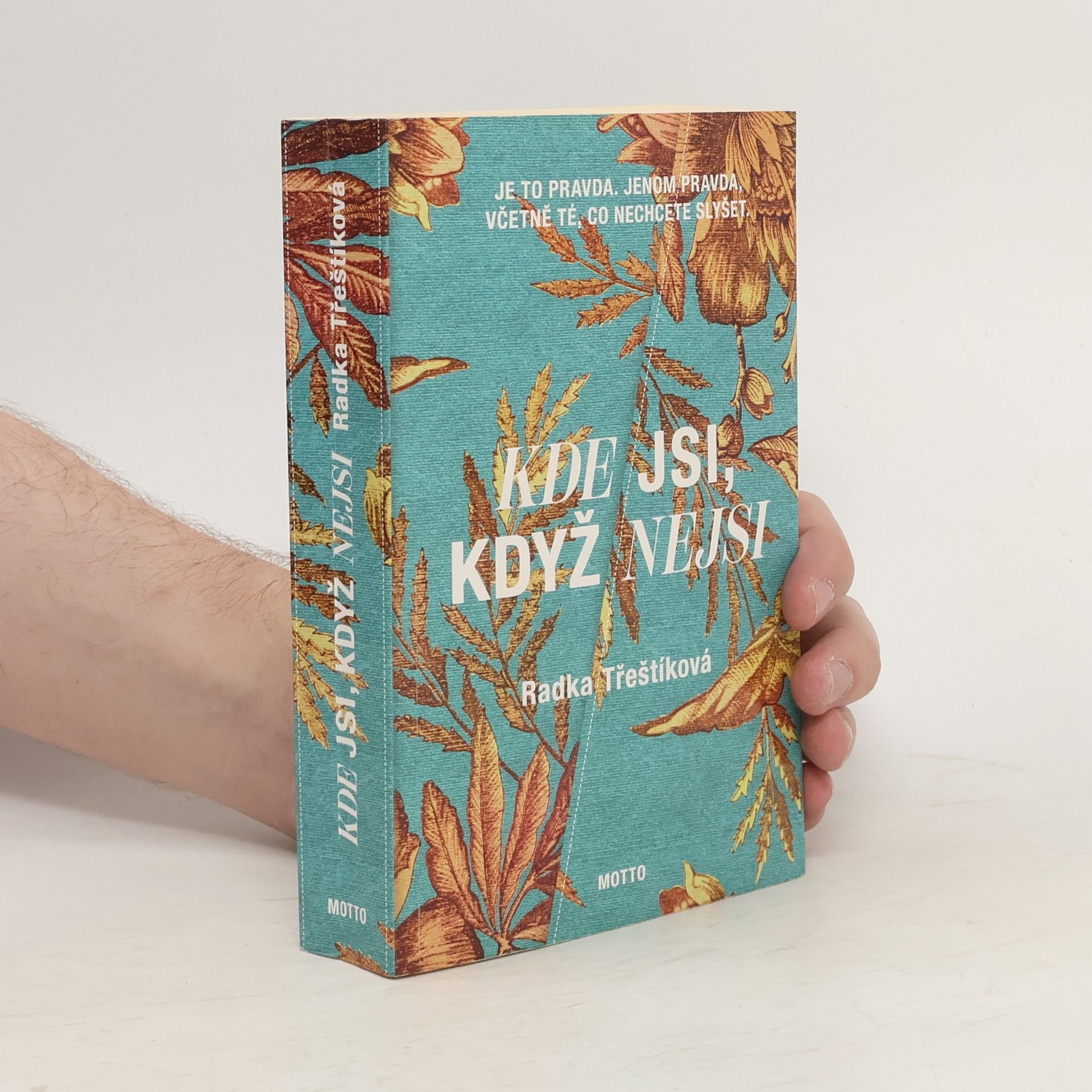 Radka Třeštíková Kde jsi, když nejsi