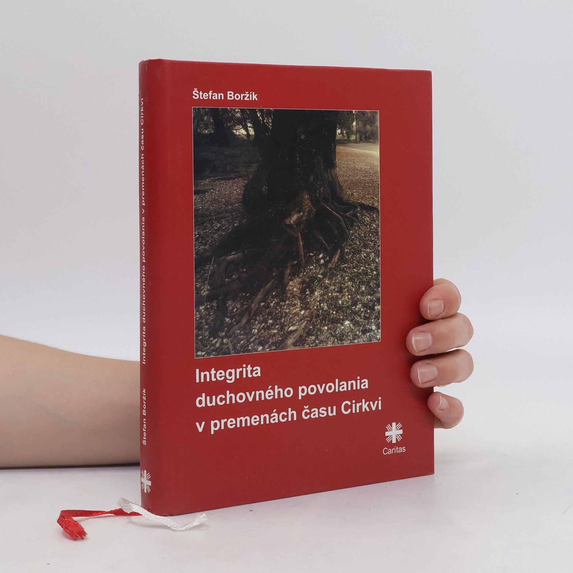Štefan Boržík Integrita duchovného povolania v premenách času Cirkvi