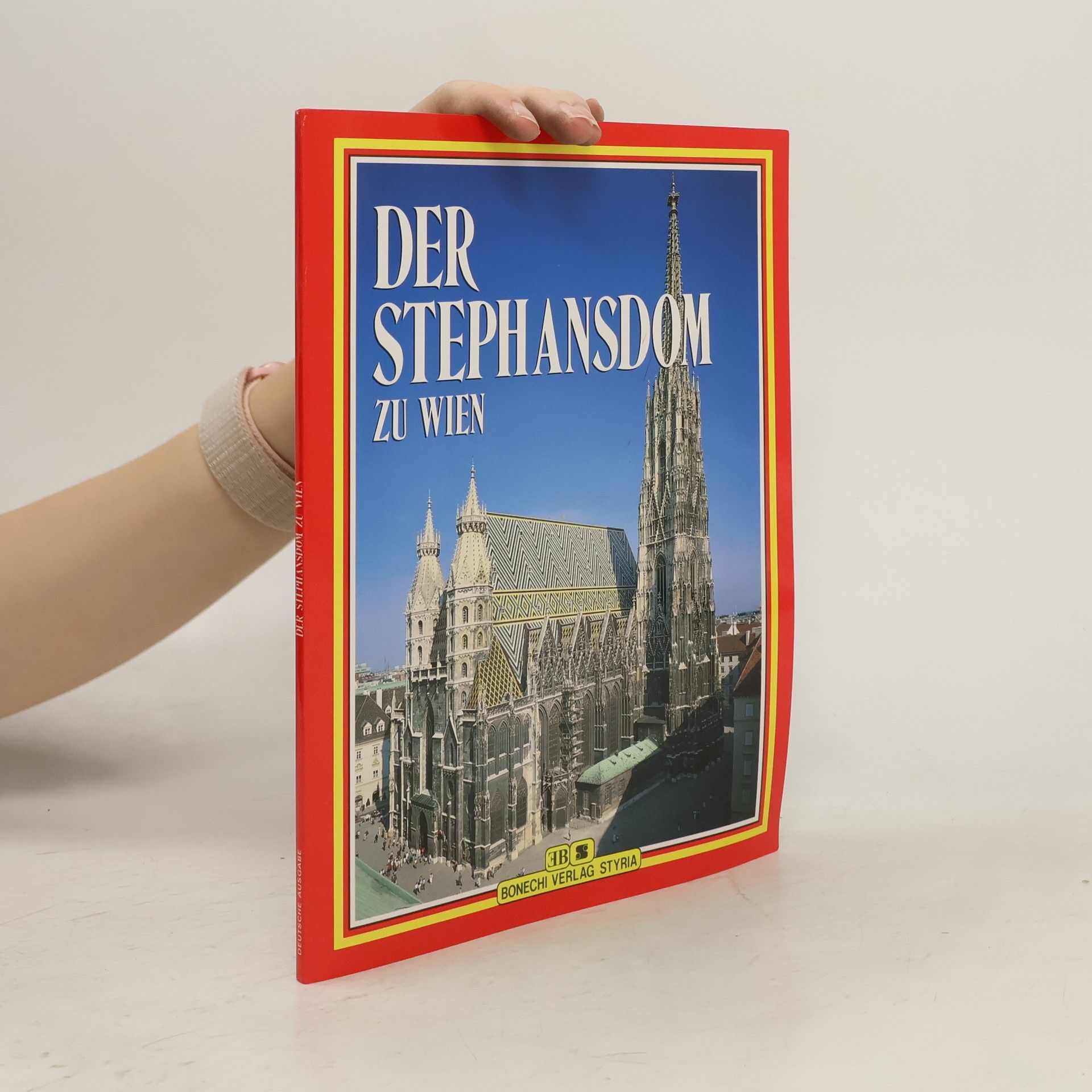 Arthur Saliger Der Stephansdom zu Wien
