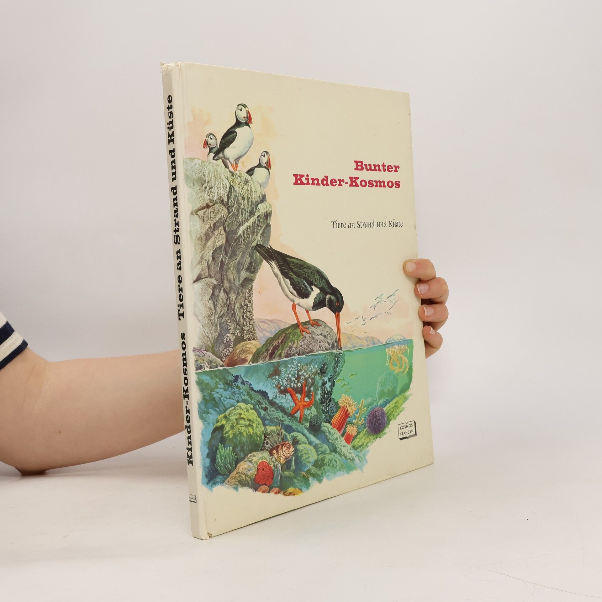 Rinaldo D. D'Ami Bunter Kinder-Kosmos. Tiere an Strand und Küste