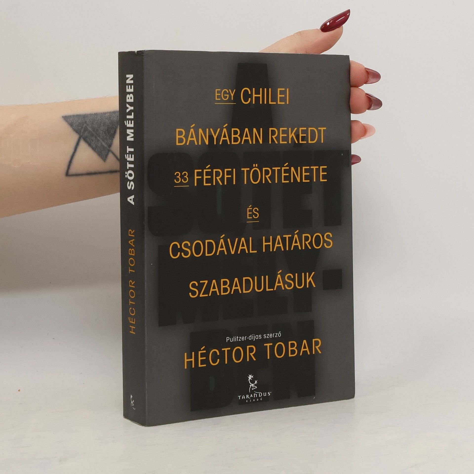 Héctor Tobar A sötét mélyben