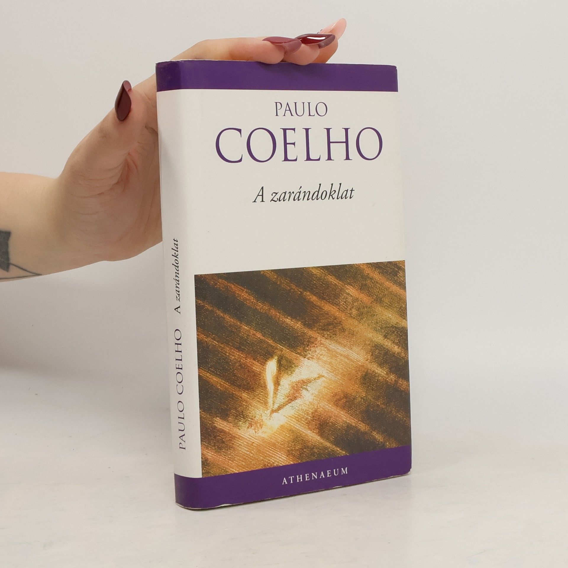 Paulo Coelho A zarándoklat