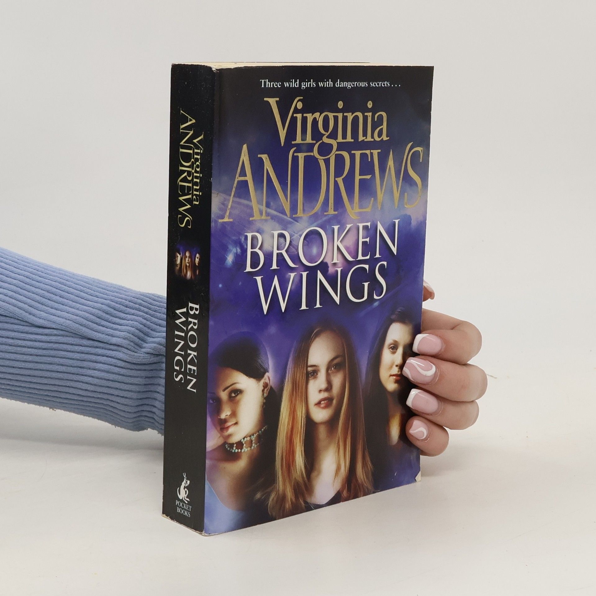 Virginia Cleo Andrews Broken Wings
