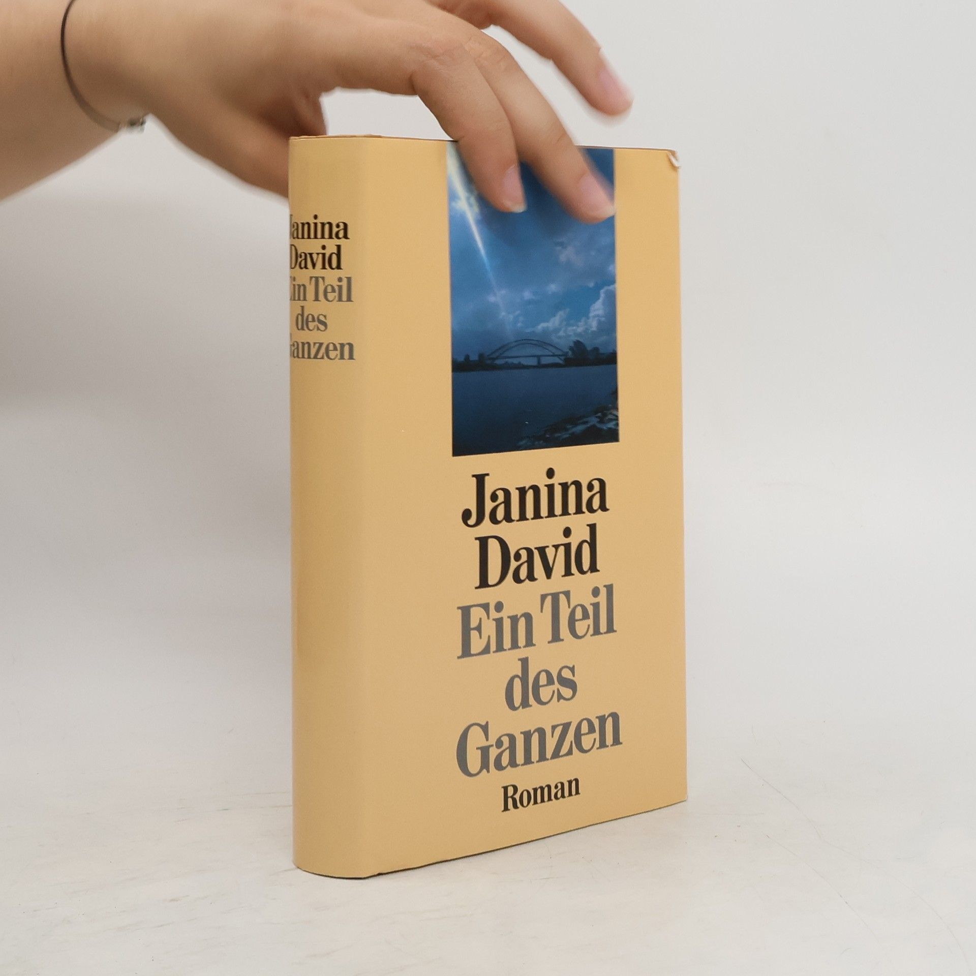 Janina David Ein Teil des Ganzen