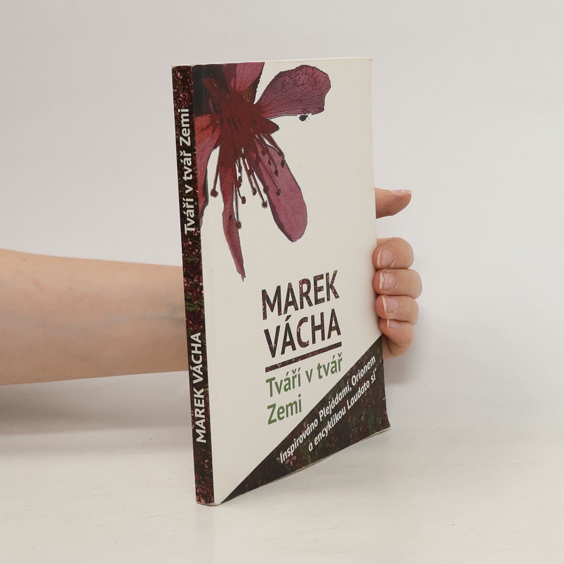 Marek Vácha Tváří v tvář Zemi
