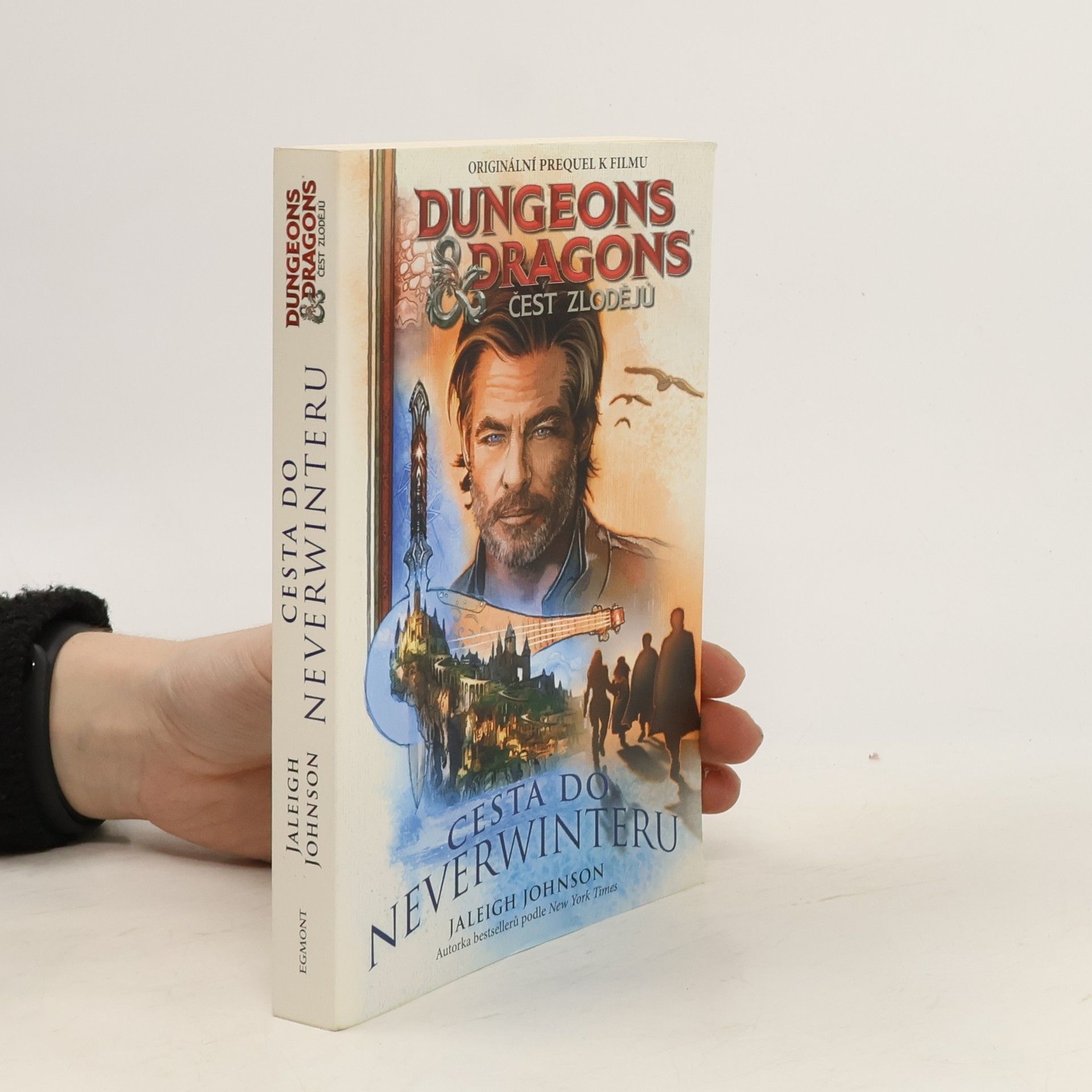 Lukáš Potužník Dungeons & Dragons : čest zlodějů. Cesta do Neverwinteru