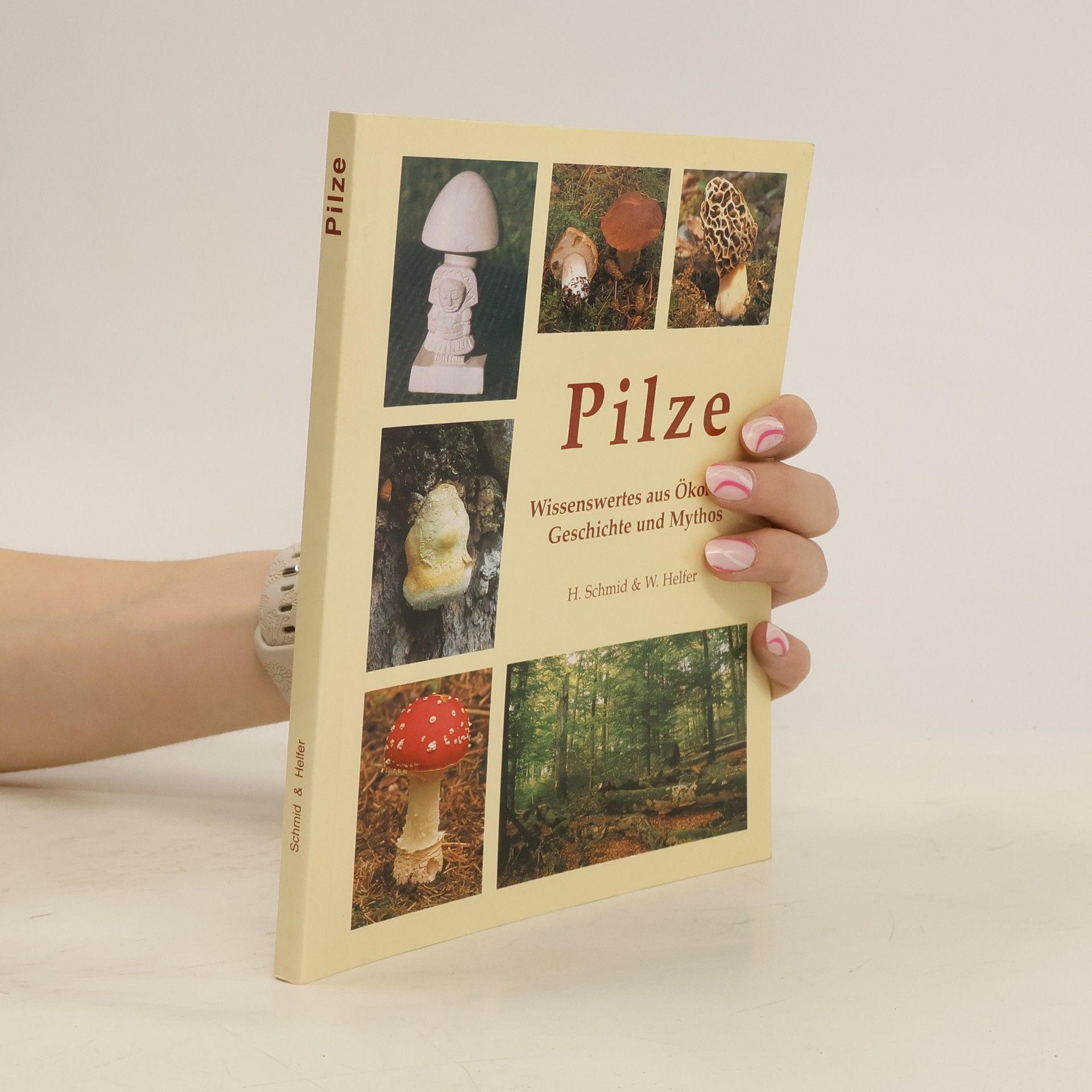 Helmuth Schmid Heckel Pilze