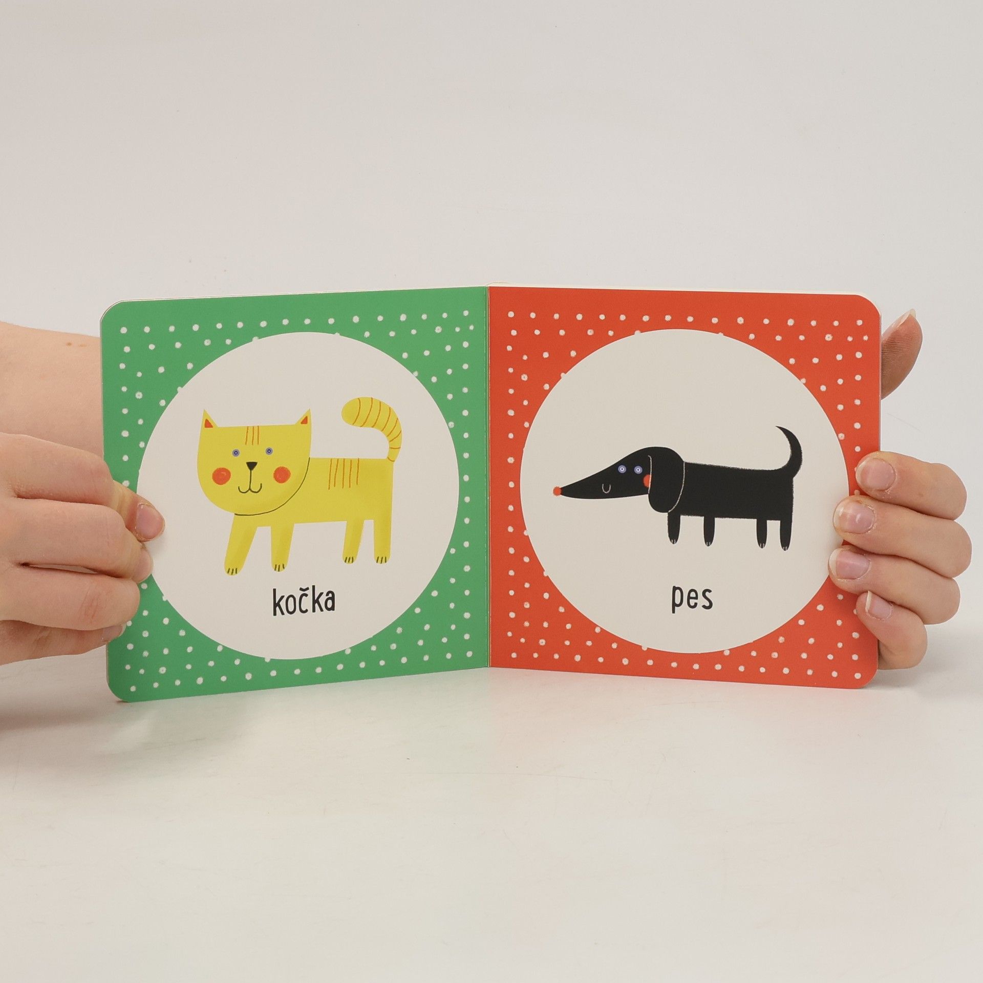 Autorenkollektiv Zvířata. Doma. Na farmě. V ZOO. V moři