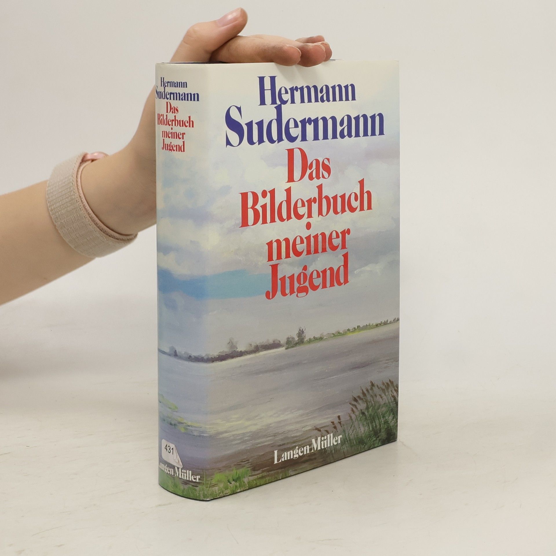 Hermann Südermann Das Bilderbuch meiner Jugend