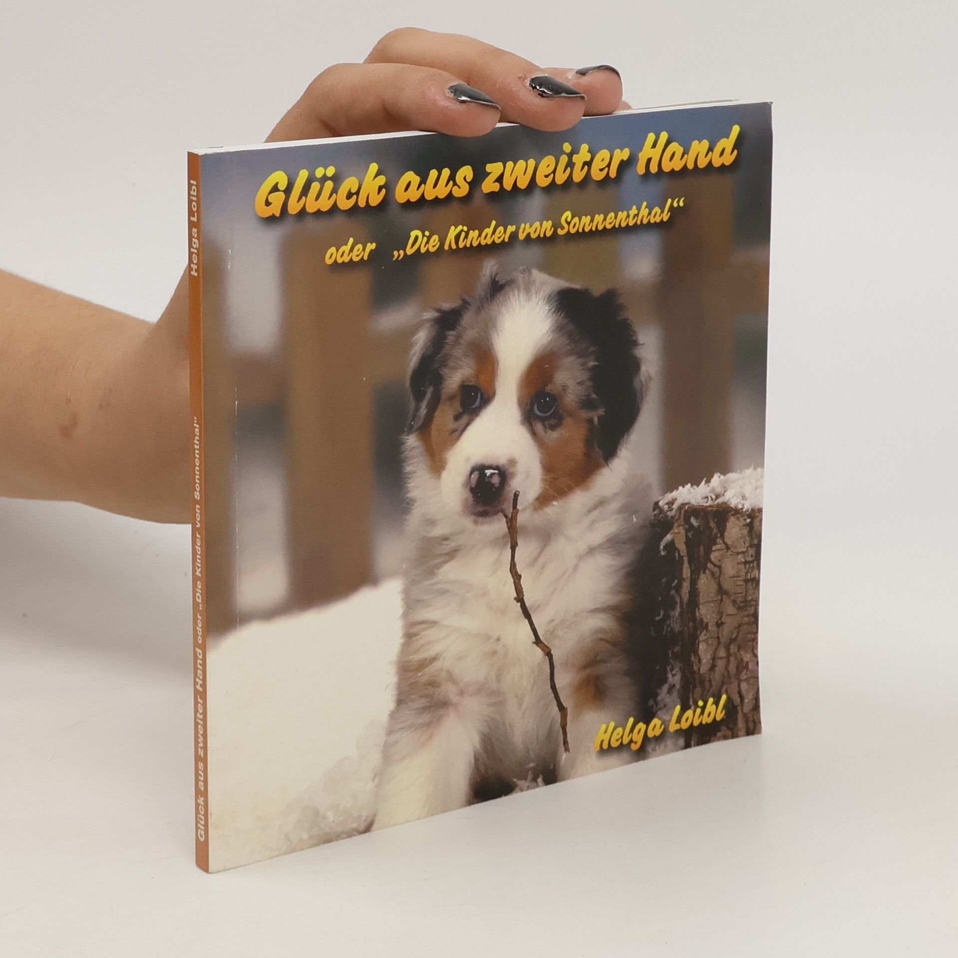 Helga Loibl Glück aus zweiter Hand oder "Die Kinder aus Sonnenthal"