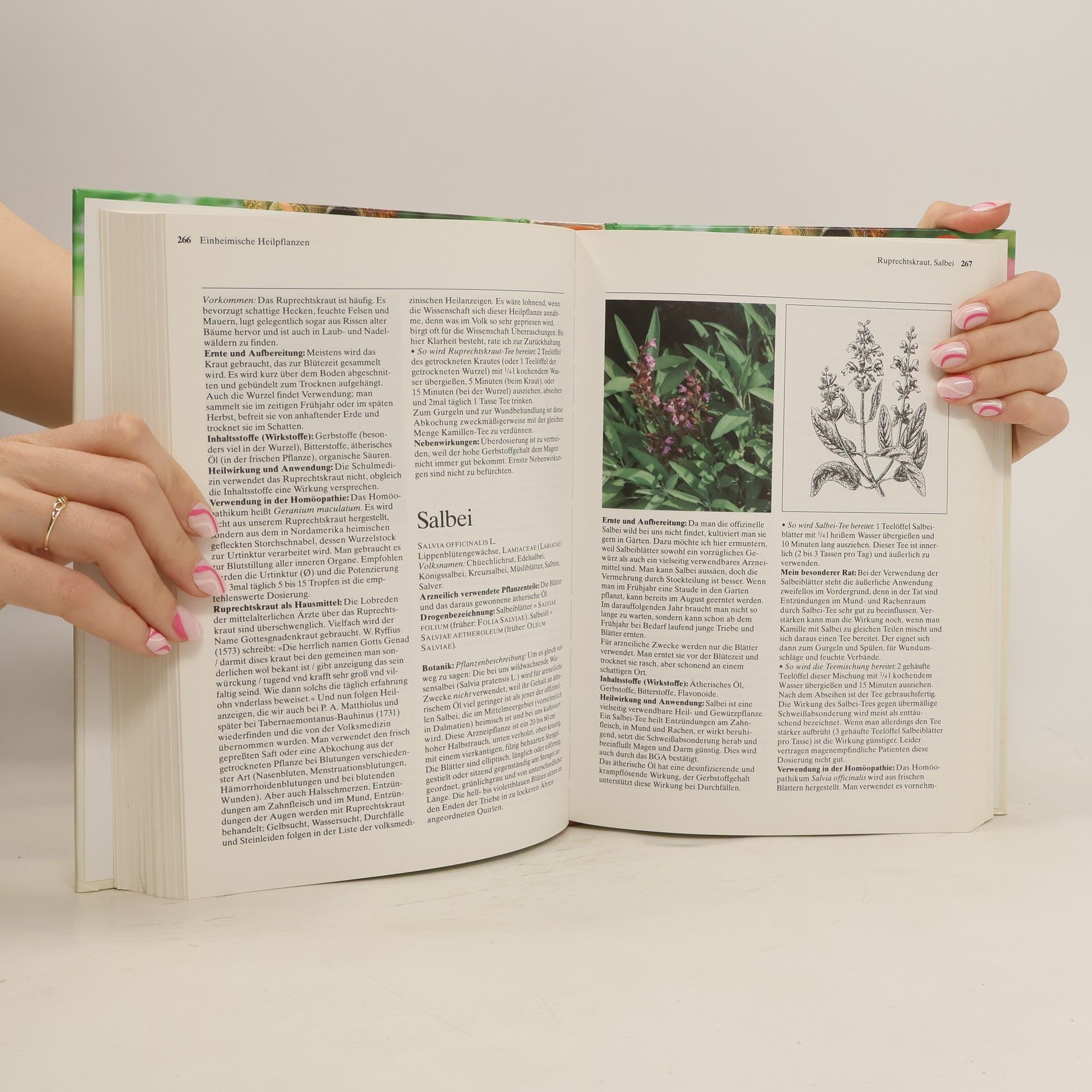 Mannfried Pahlow Das große Buch der Heilpflanzen