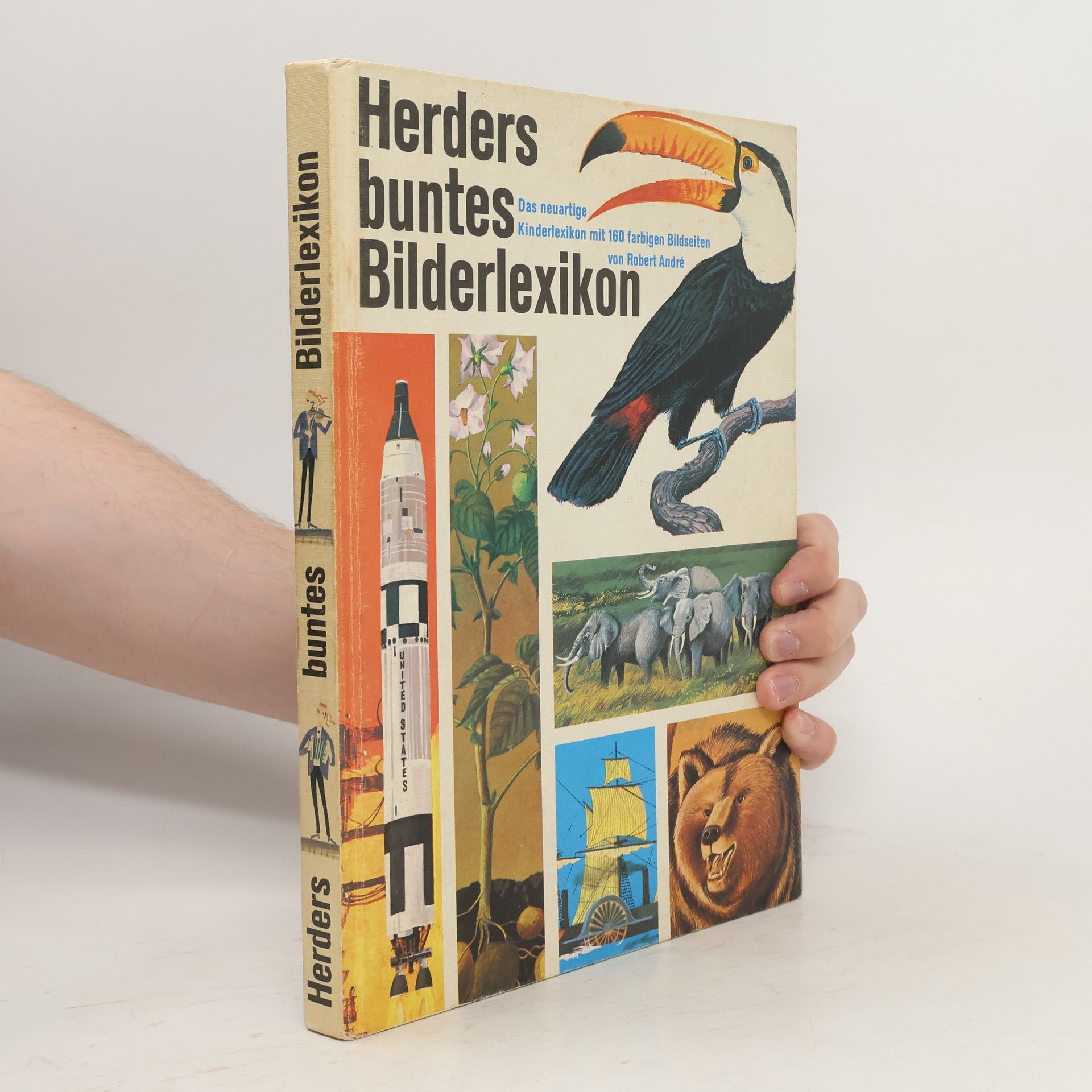 Autorenkollektiv Herders buntes Bilderlexikon
