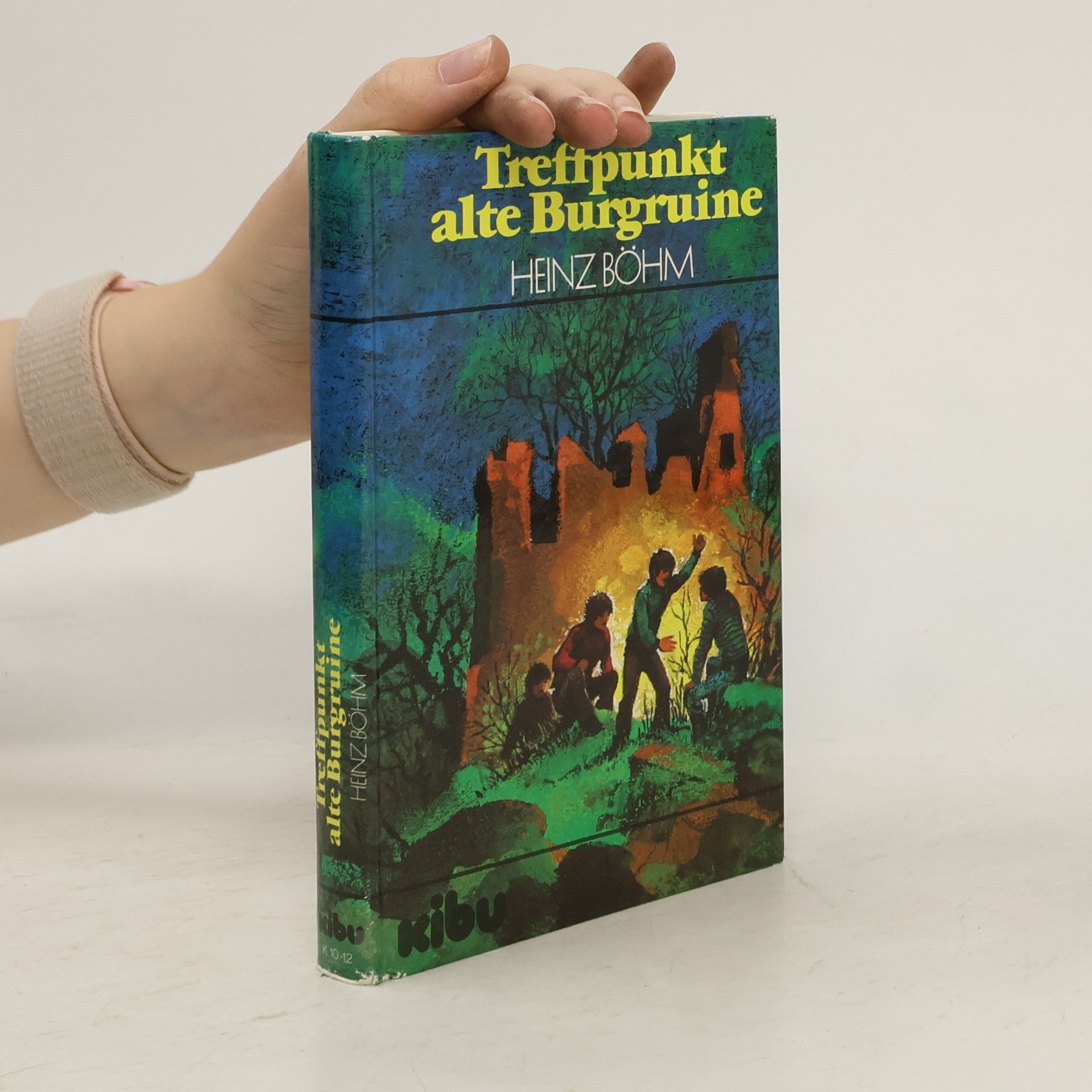 Heinz Bohm Treffpunkt alte Burgruine
