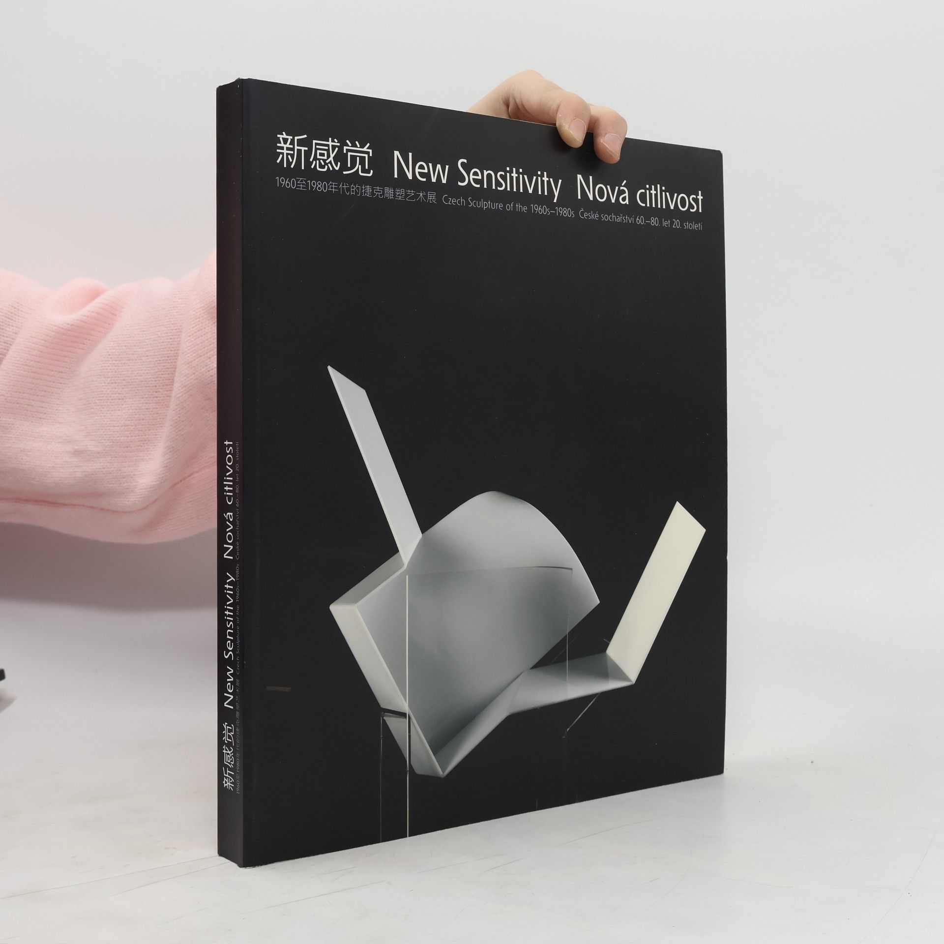 Collectif d'auteurs 新感觉. New Sensitivity. Nová citlivost