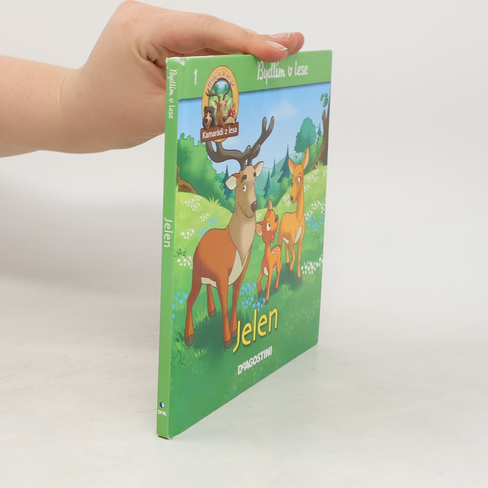 kolektiv Bydlím v lese - jelen