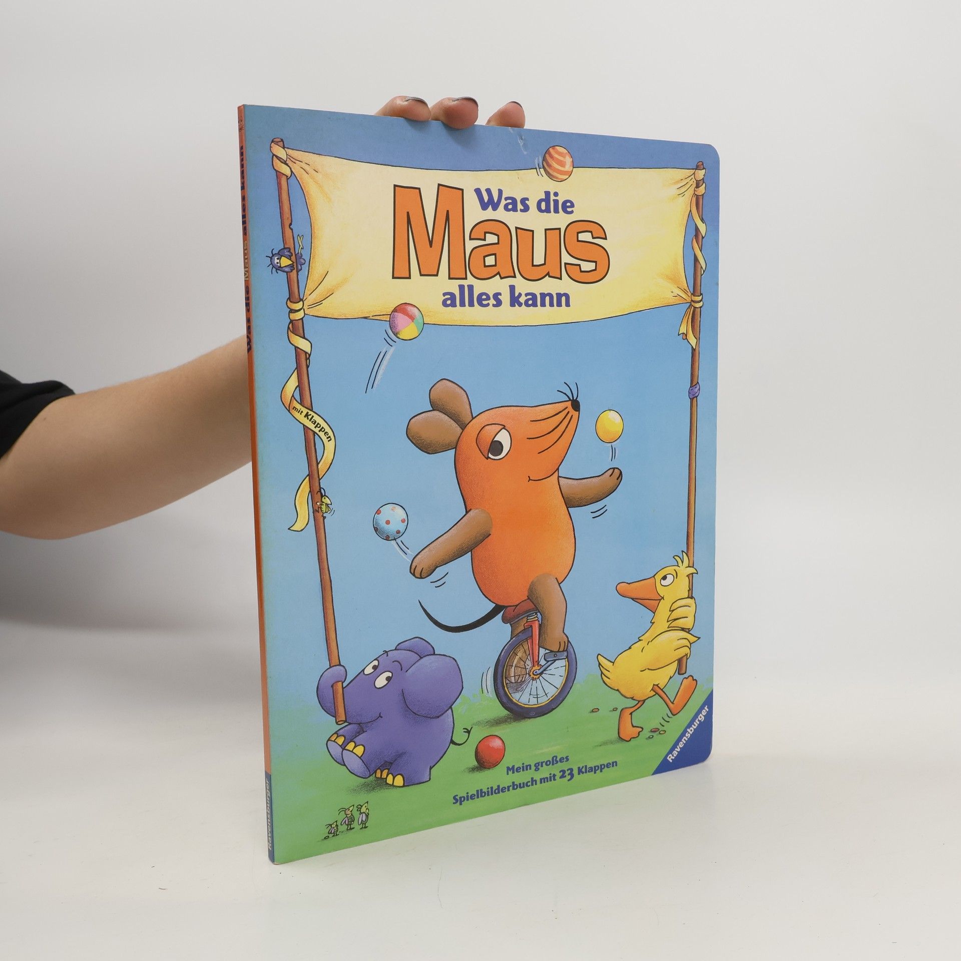 Ina Stein Was die Maus alles kann. Mein großes Spielbilderbuch mit 23 Klappen