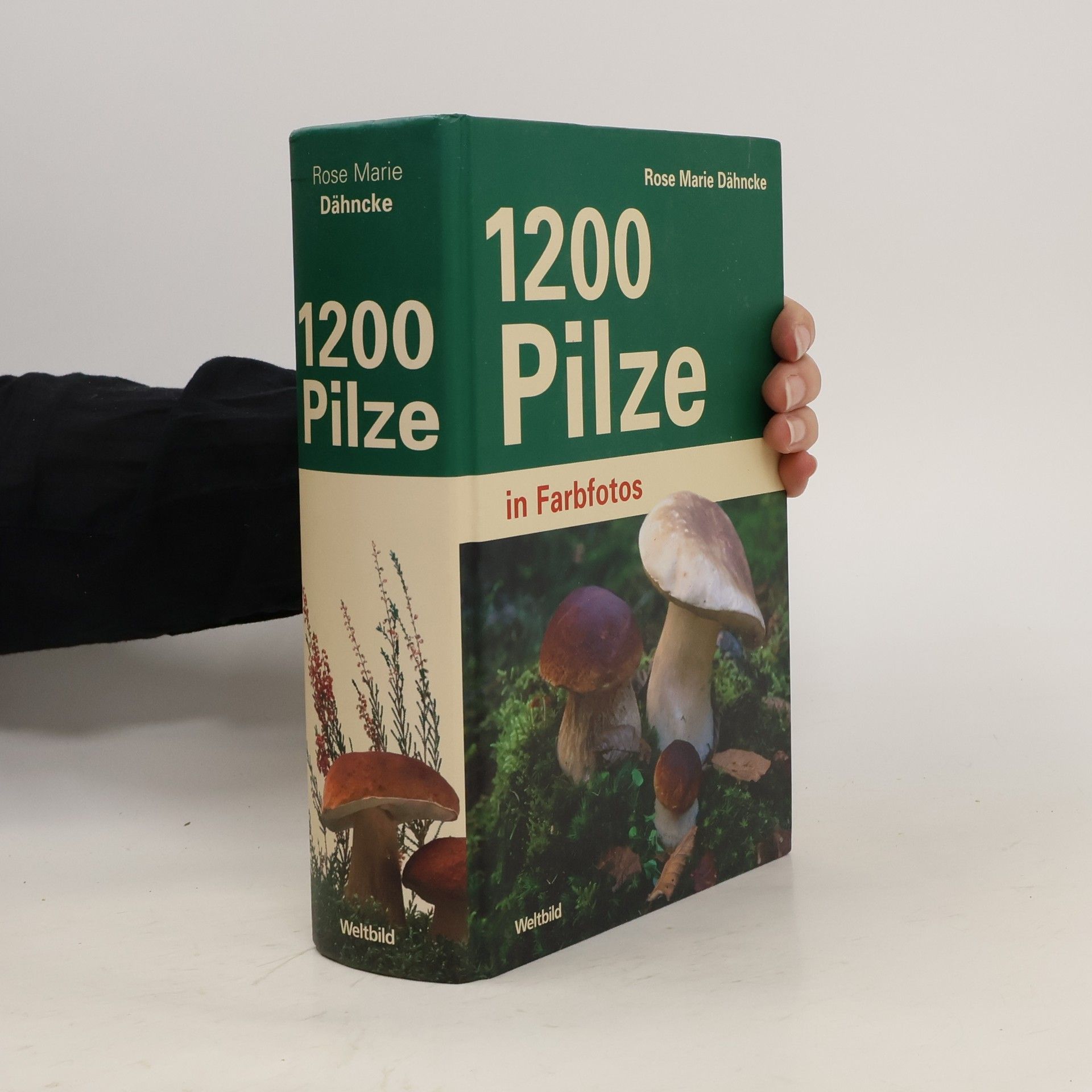 Rose Marie Dähncke 1200 Pilze
