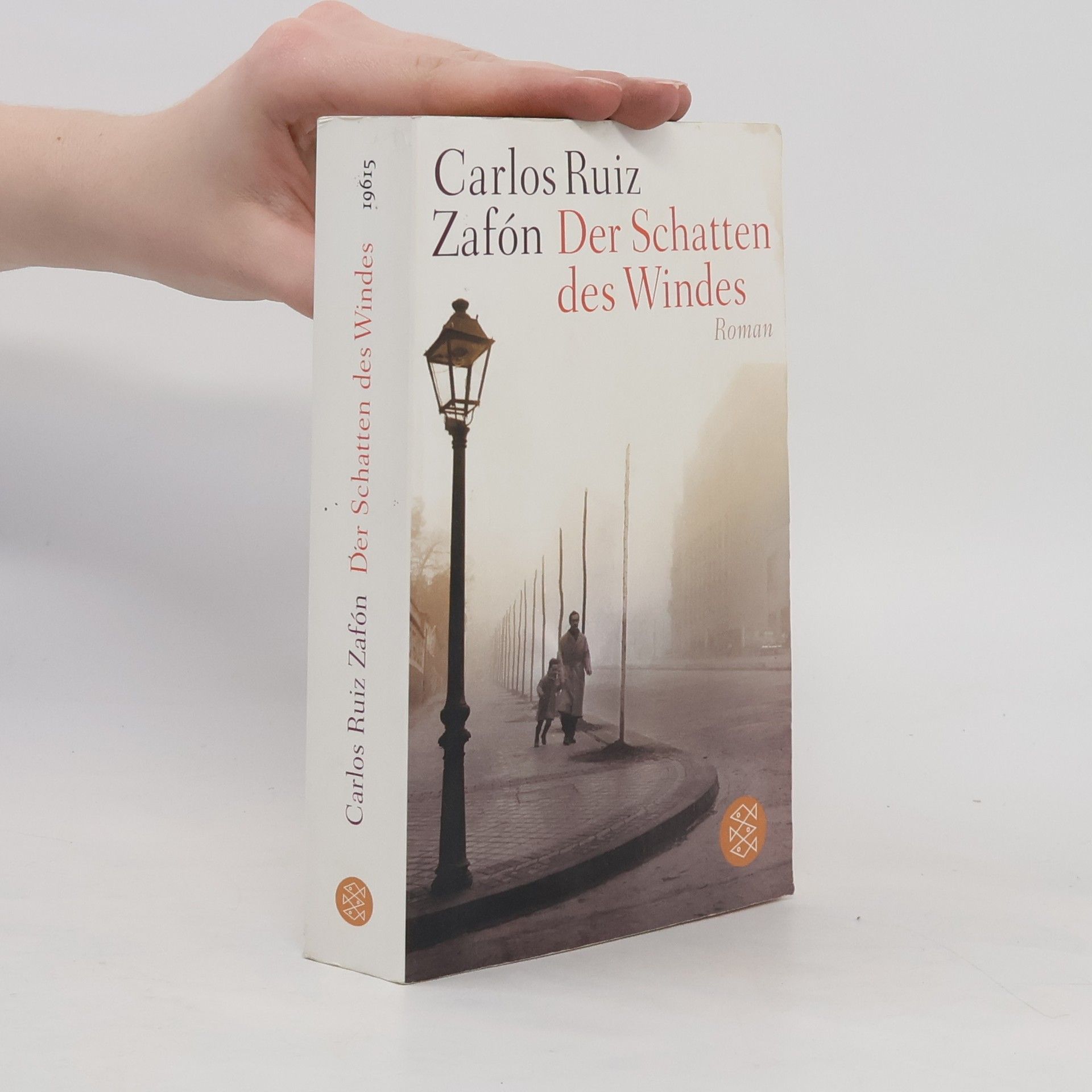 Carlos Ruis Zafon Der Schatten des Windes