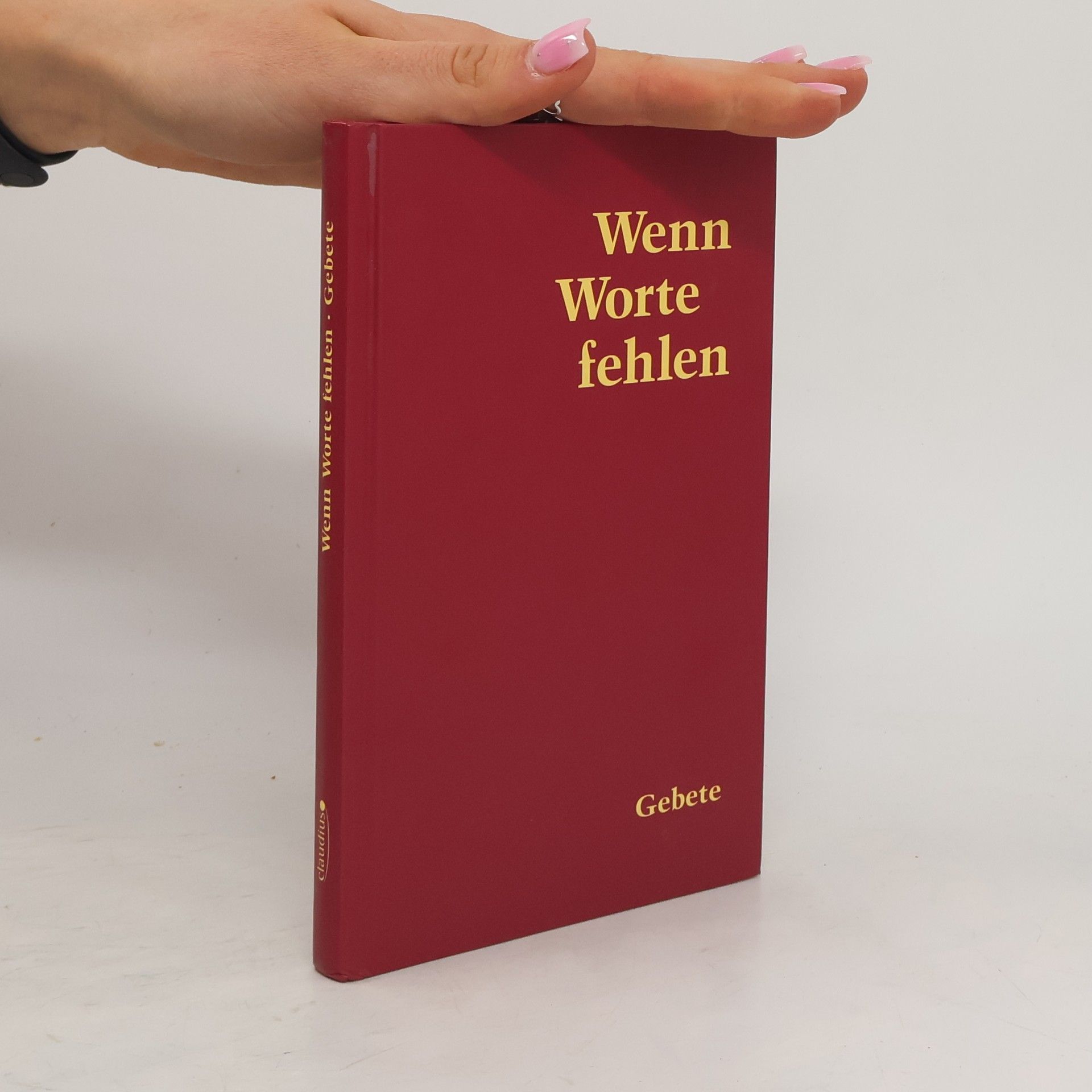 Autorenkollektiv Wenn Worte fehlen. Gebete