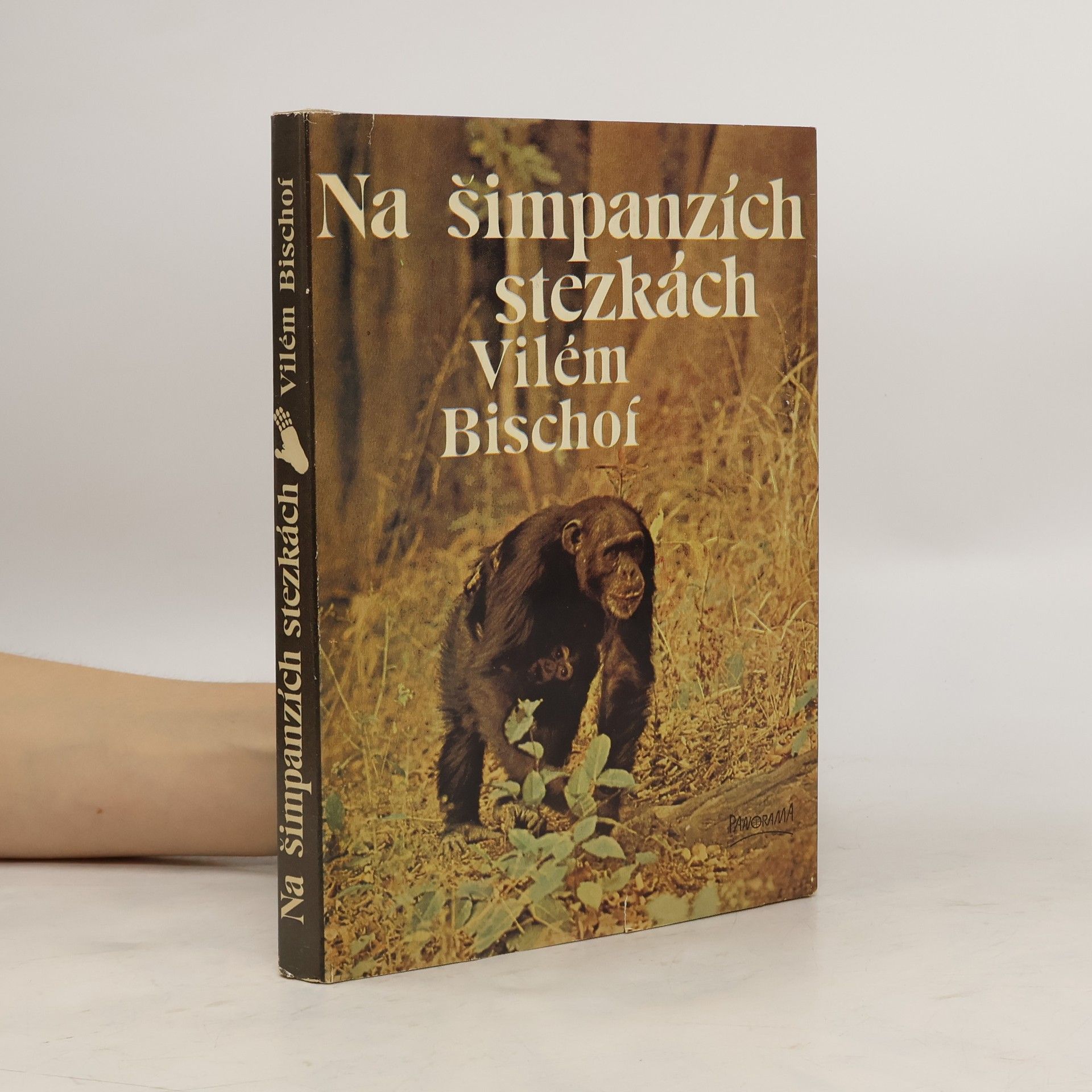 Vilém Bischof Na šimpanzích stezkách