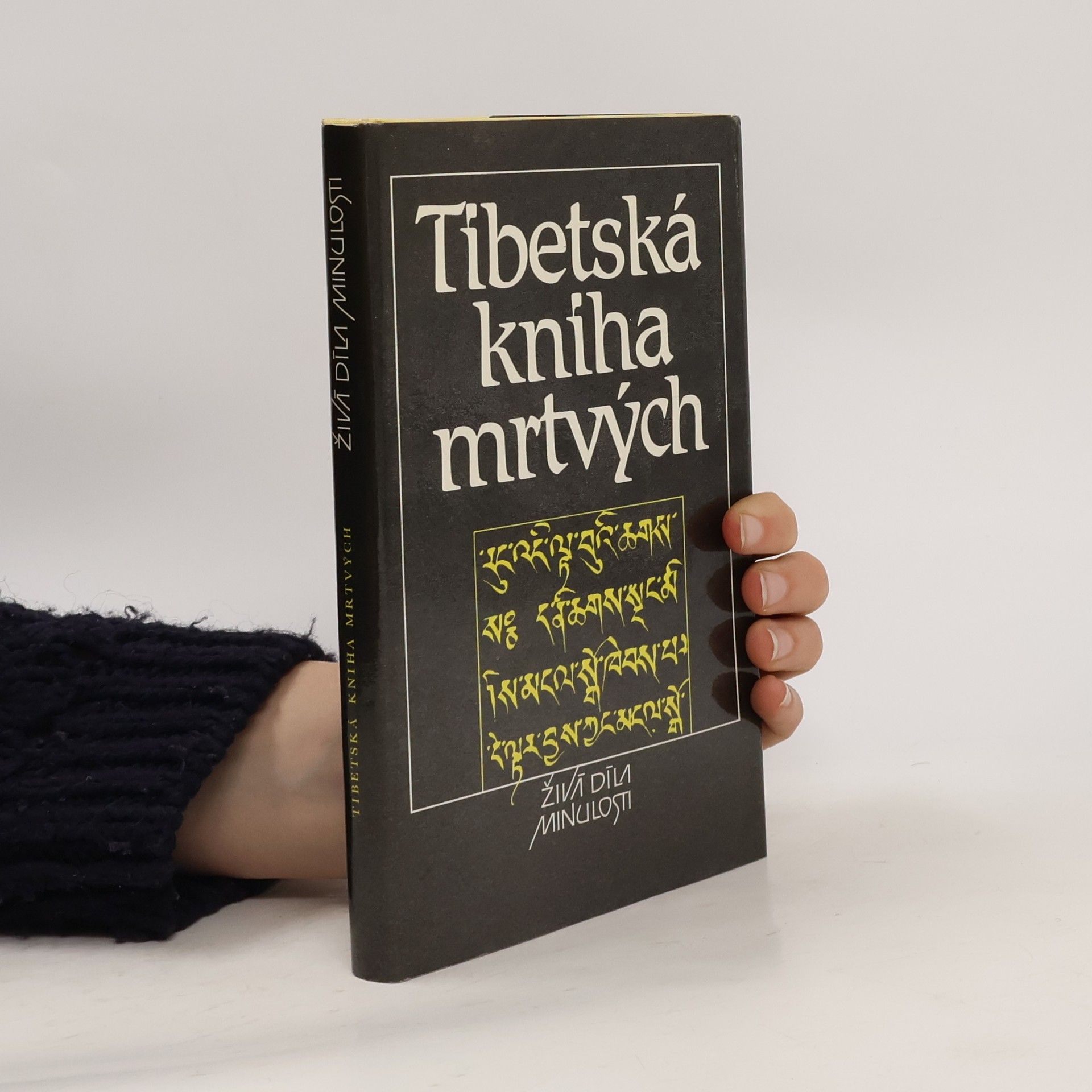 kolektiv Tibetská kniha mrtvých