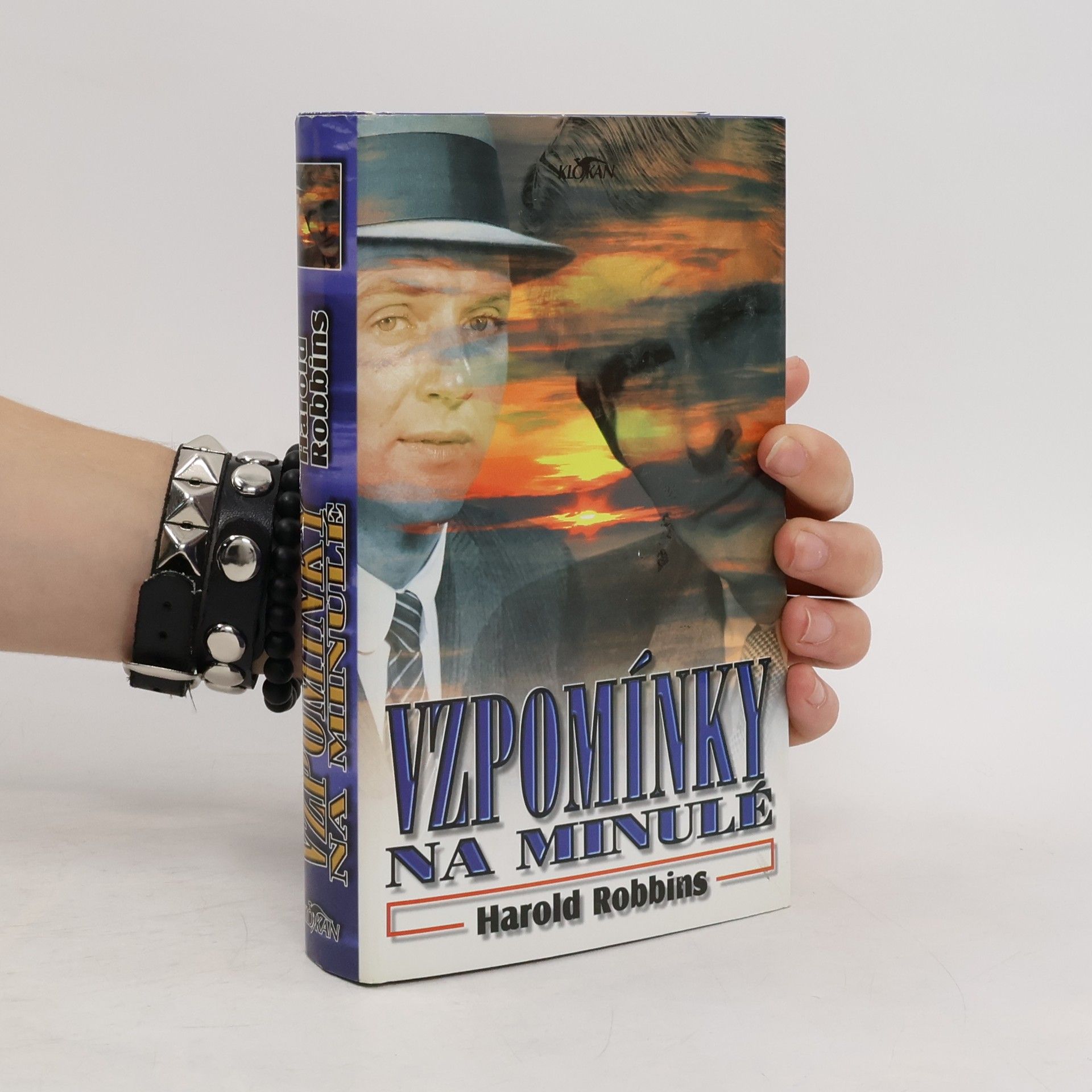 Harold Robbins Vzpomínky na minulé