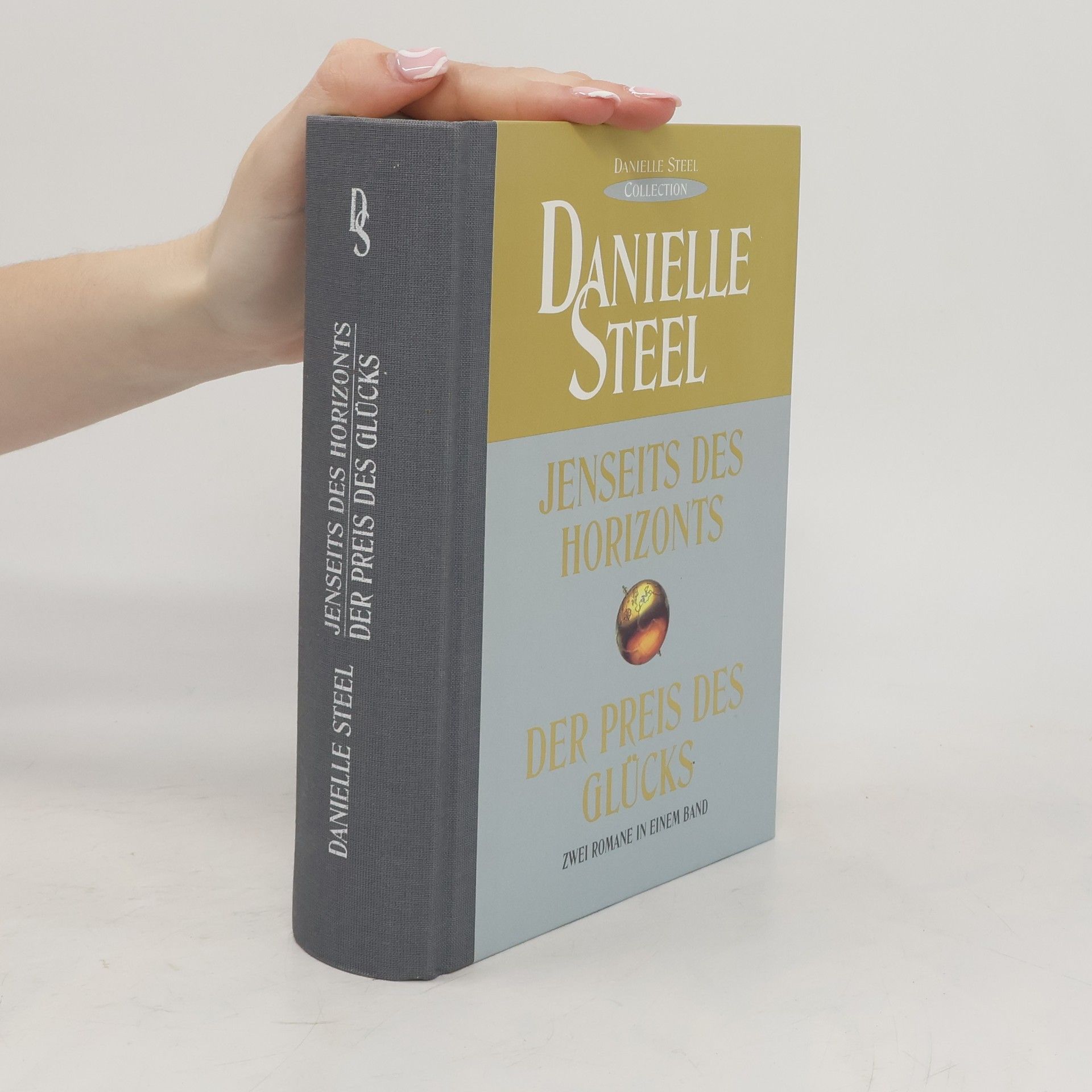 Danielle Steel Jenseits des Horizonts. Der Preis des Glücks