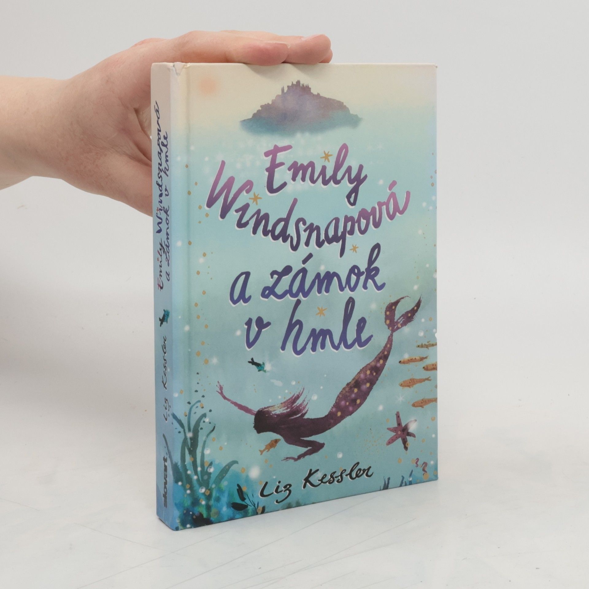 Liz Kessler Emily Windsnapová a zámok v hmle