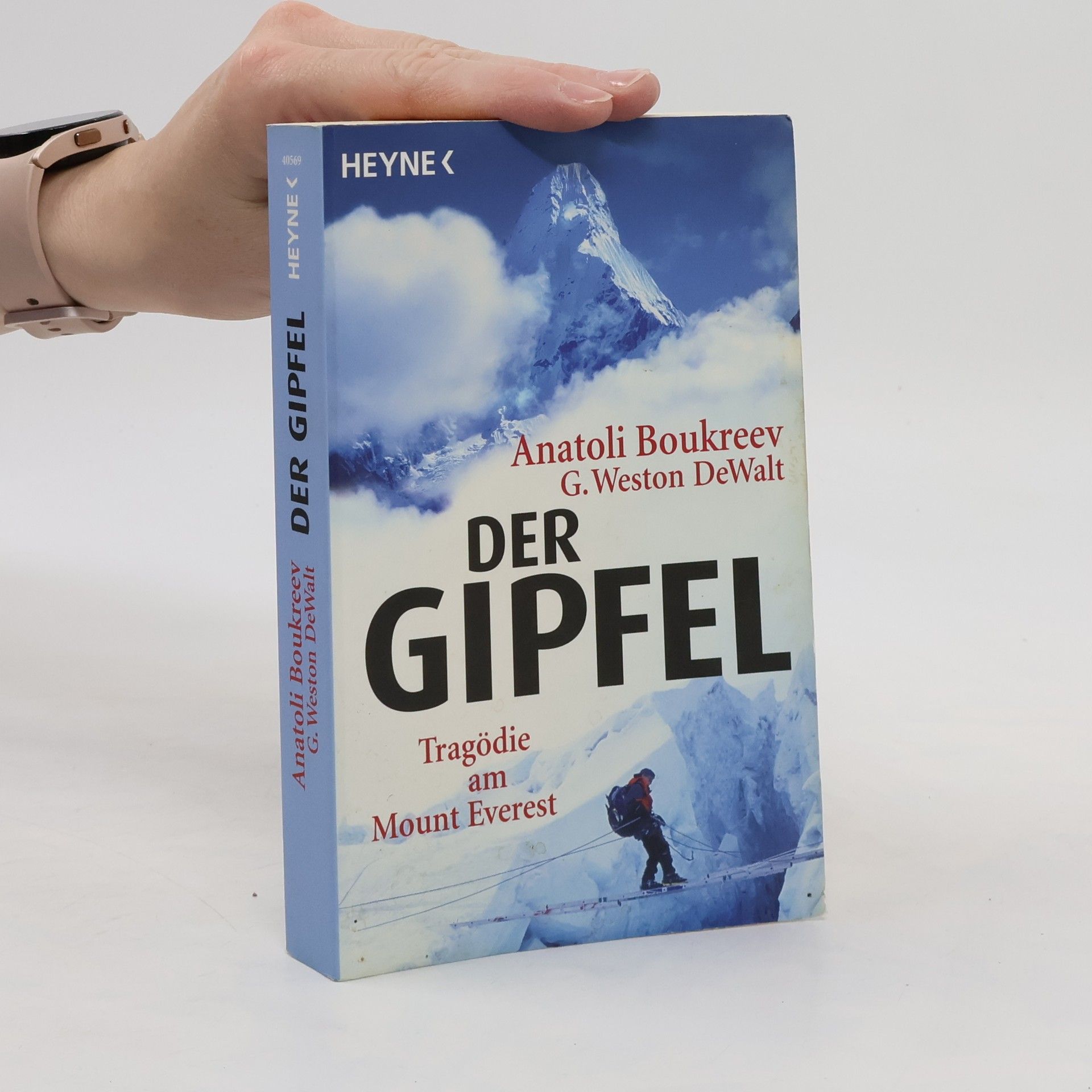 Anatolij Bukrejev Der Gipfel