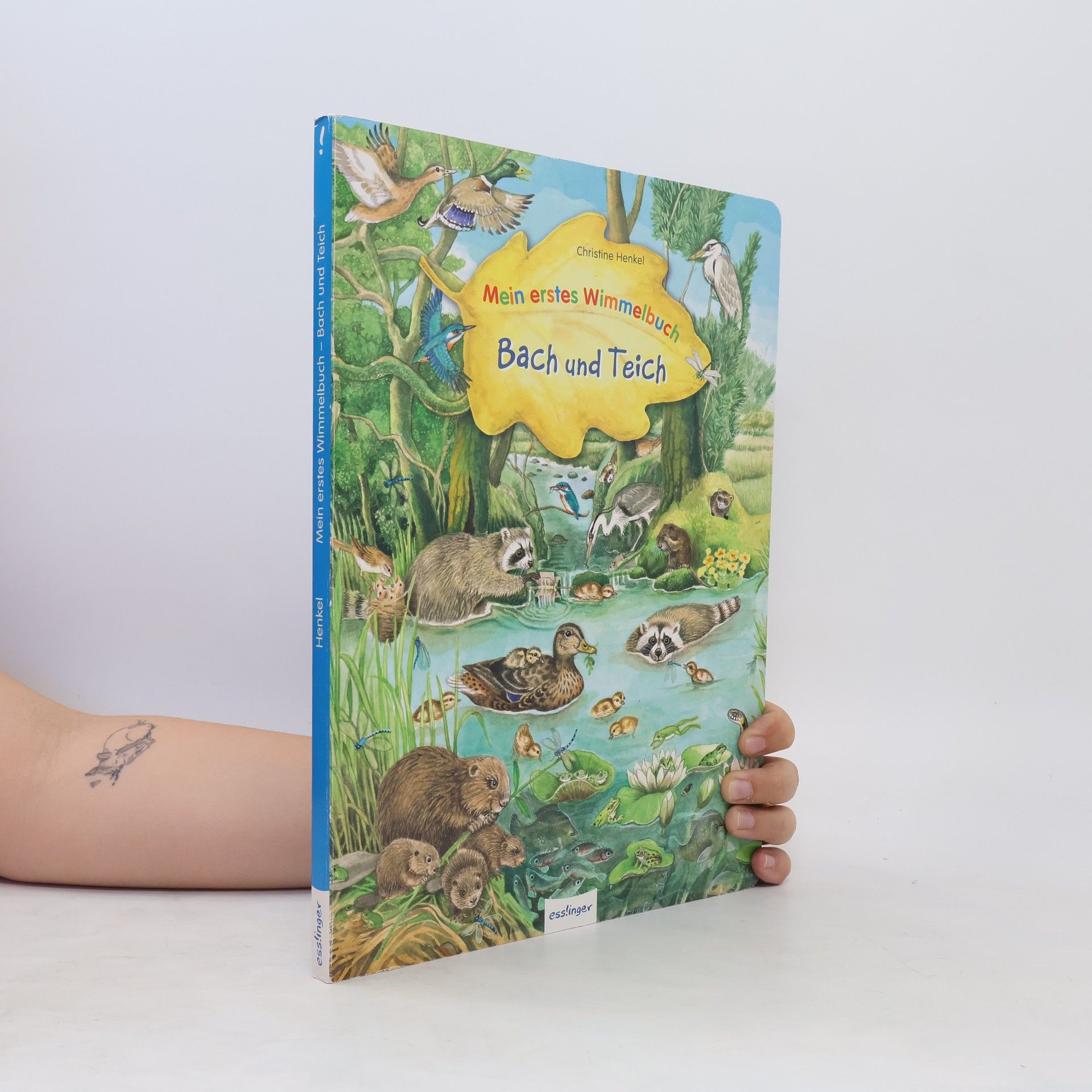 Christine Henkel Mein erstes Wimmelbuch - Bach und Teich