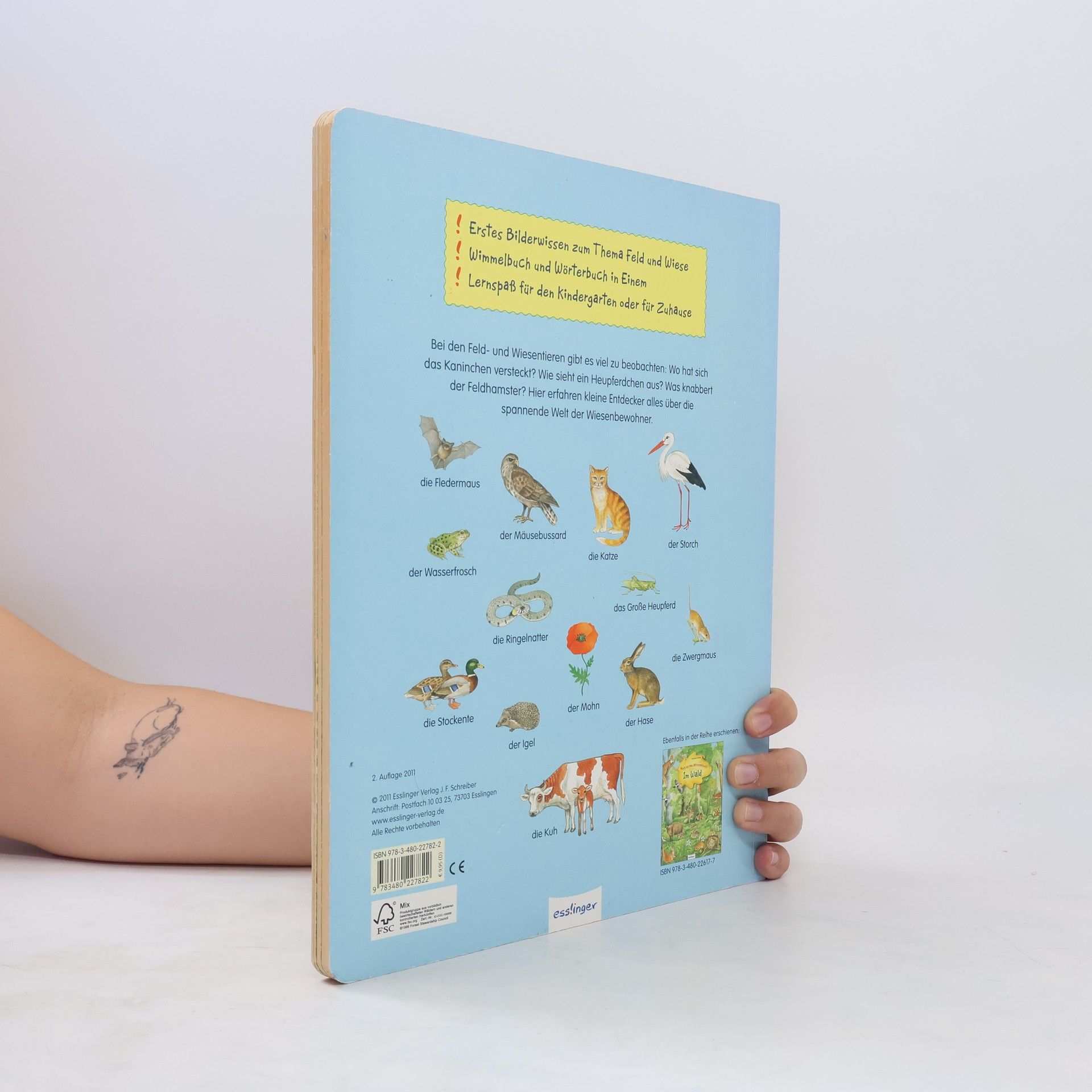 Christine Henkel Mein erstes Wimmelbuch - Feld und Wiese